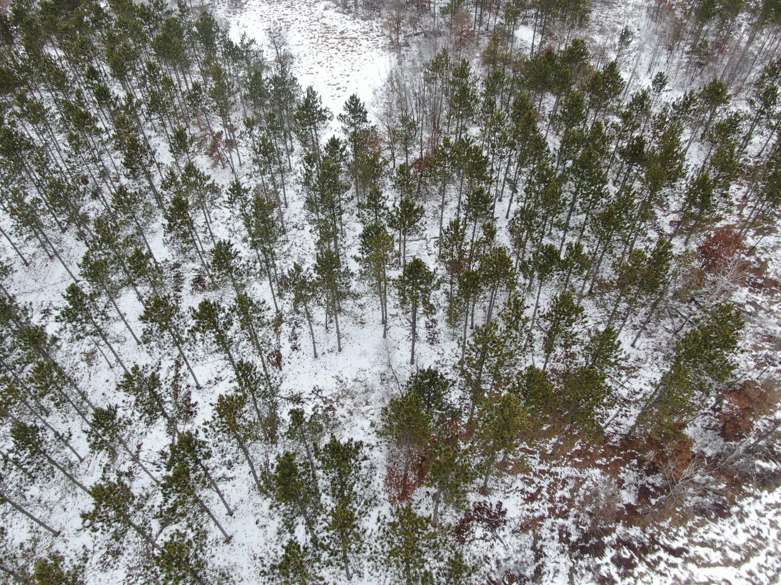 120± acre tract in the Town of Clearfield, Juneau County