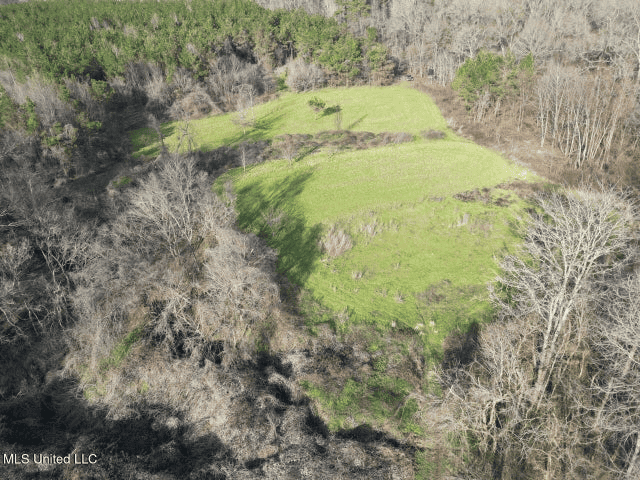 140 Acres with Farmhouse in Lorman, Mississippi