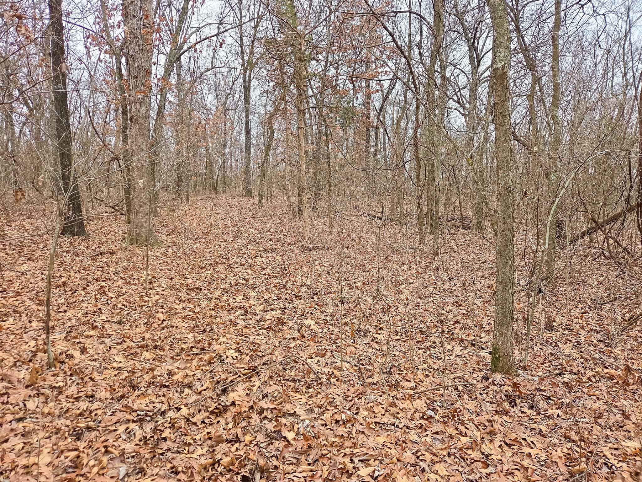 67 N Dade 237 Walnut Grove, MO 65770