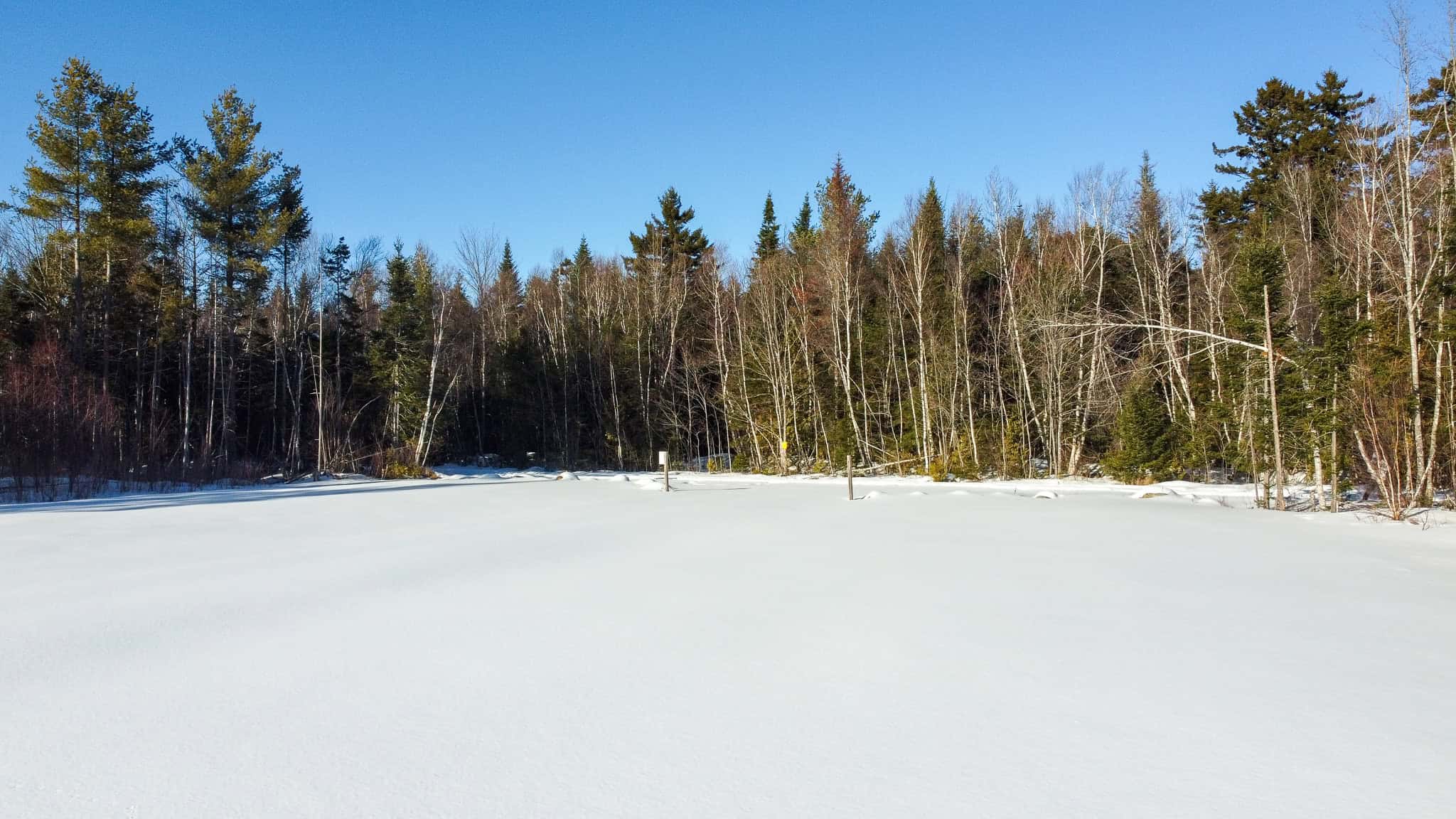 42.9 Acre Off-Grid Parcel – Prentiss, Maine