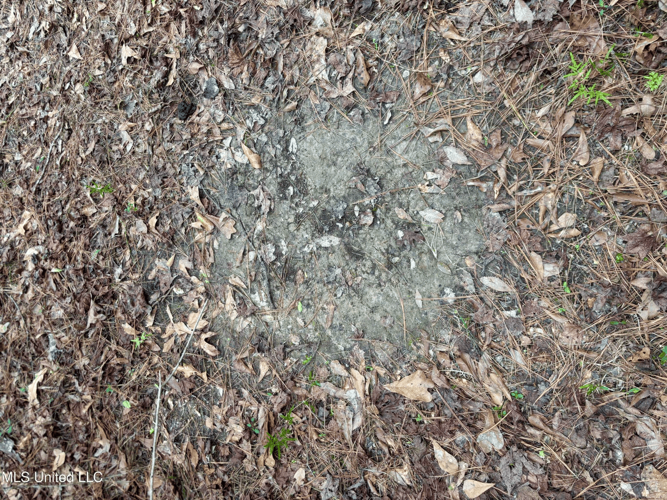 18 Acre Homesite in Magnolia, MS, Pike County
