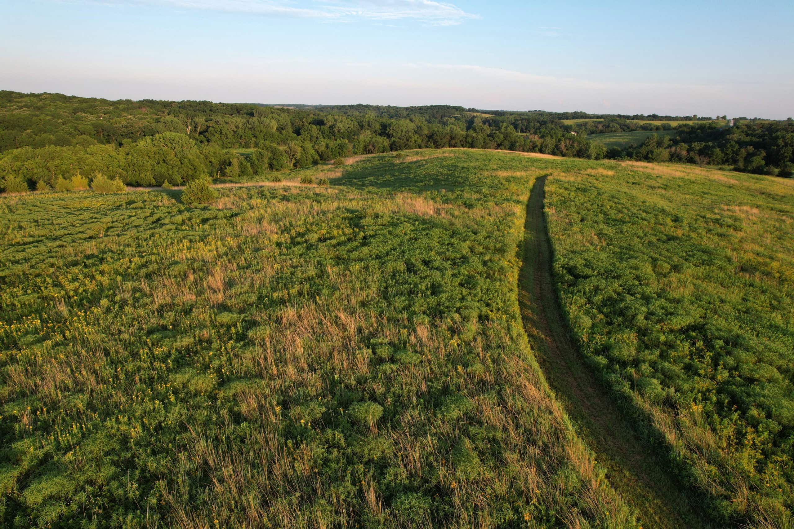 Southern Iowa Combination Hunting Tract