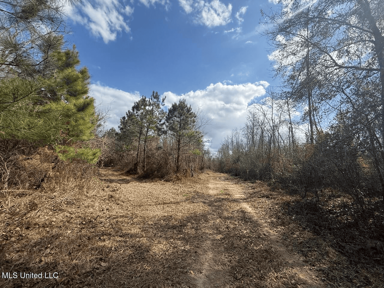 700 Acres in Allen Parish, Louisiana