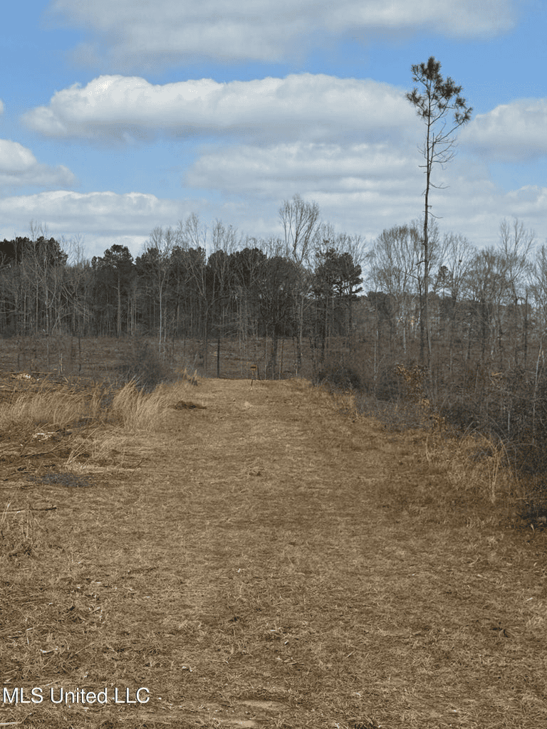 220 Acres South MS Hunting Tract with Camp/Homesite