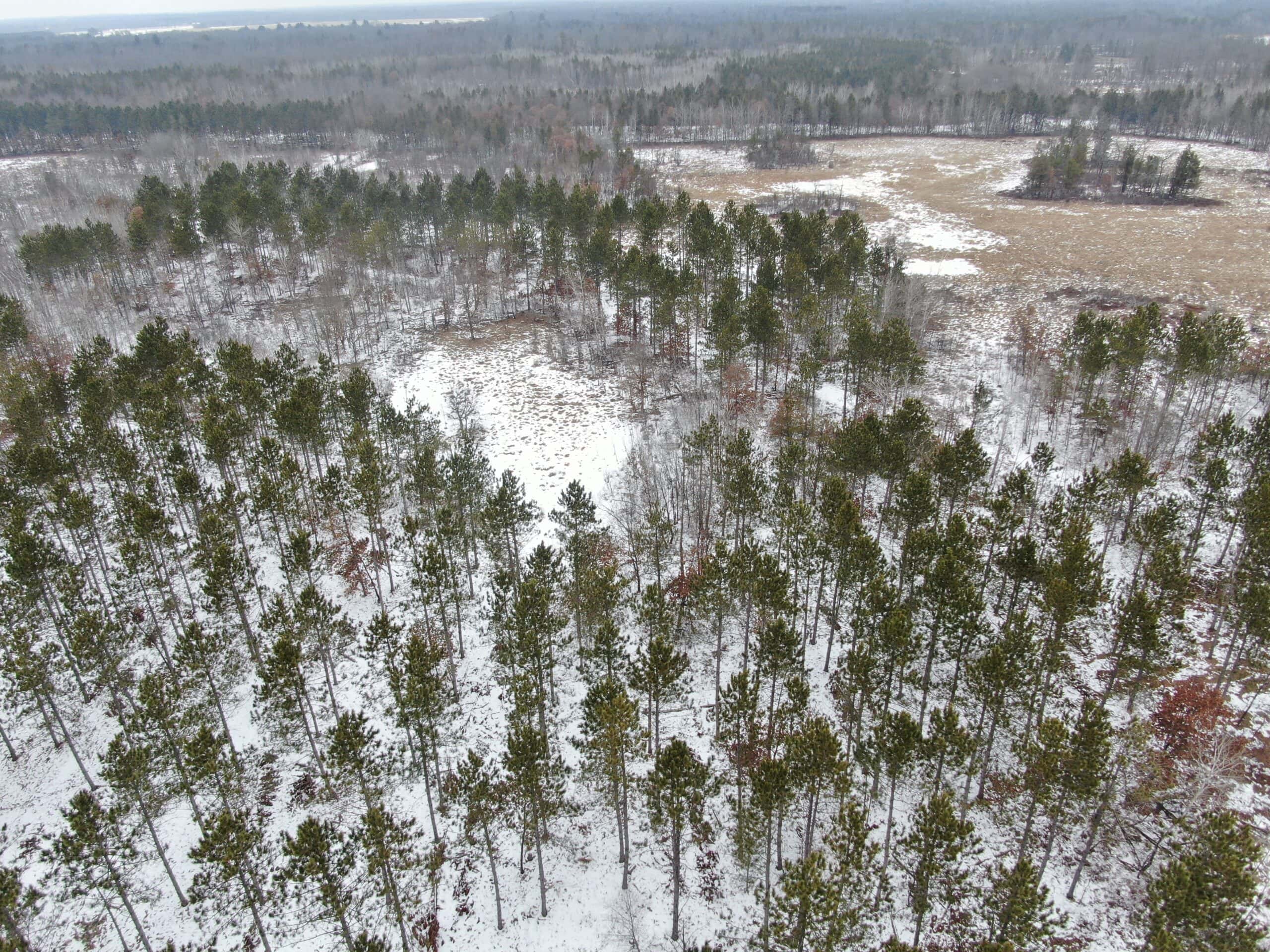 120± acre tract in the Town of Clearfield, Juneau County