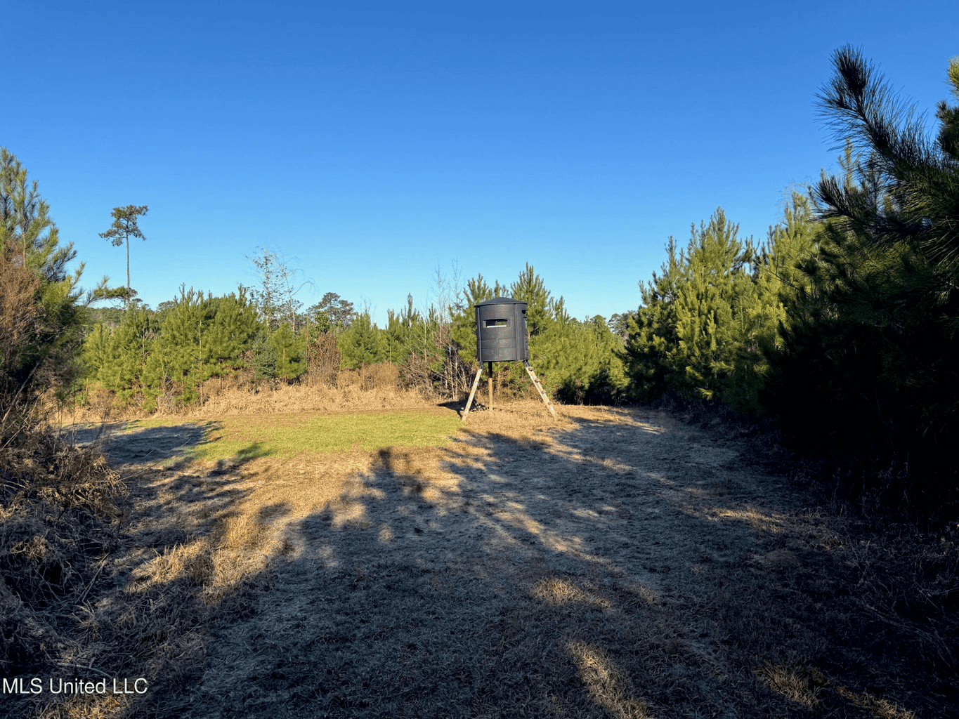 South MS Camp and Land Bordering the National Forest