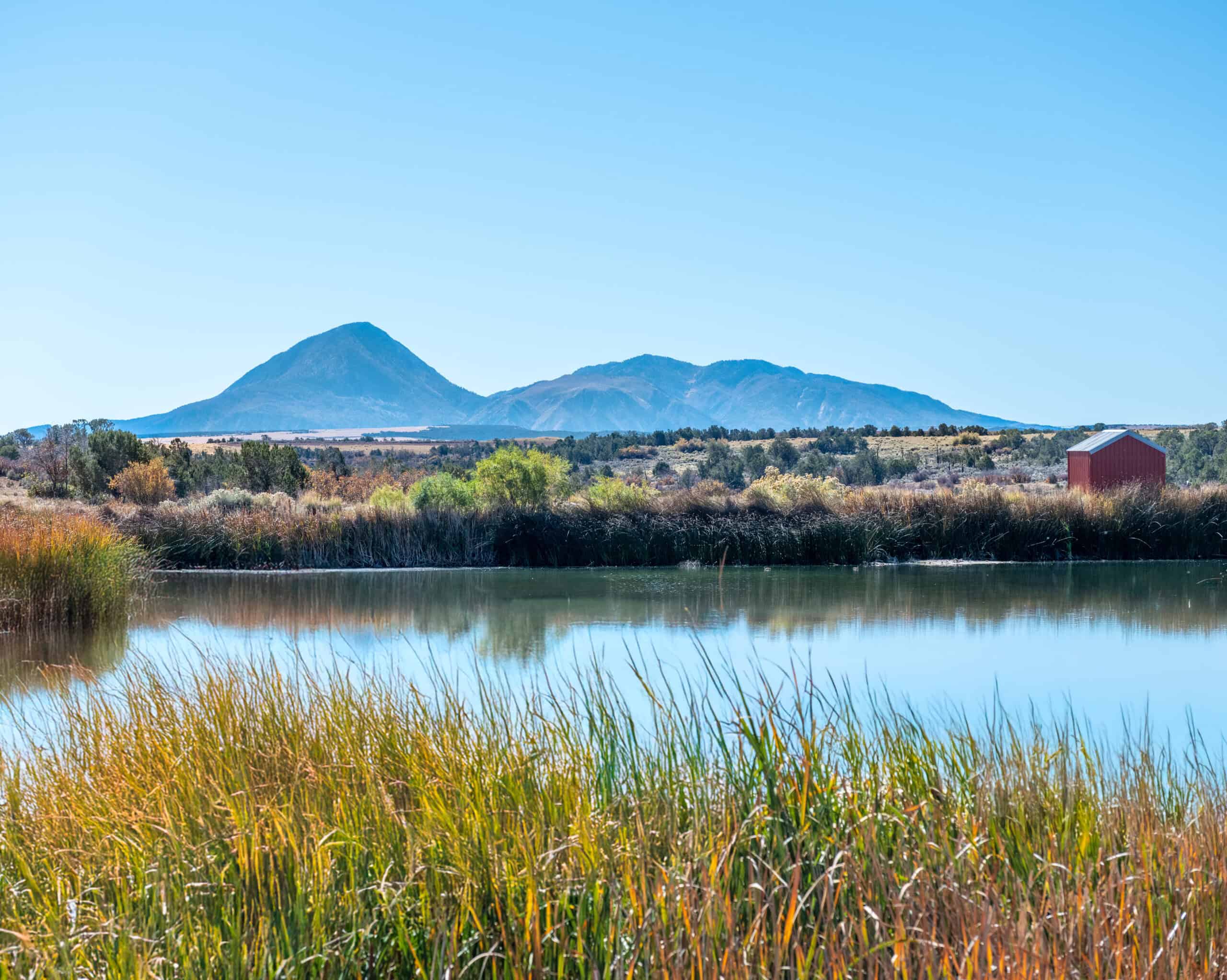 882 Acres Farm near Cortez Colorado For Sale!