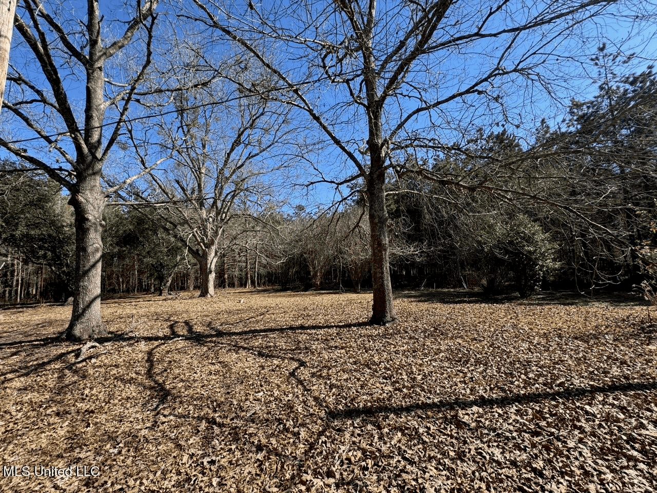 Tensas Riverfront Hunting Land Concordia Parish, LA