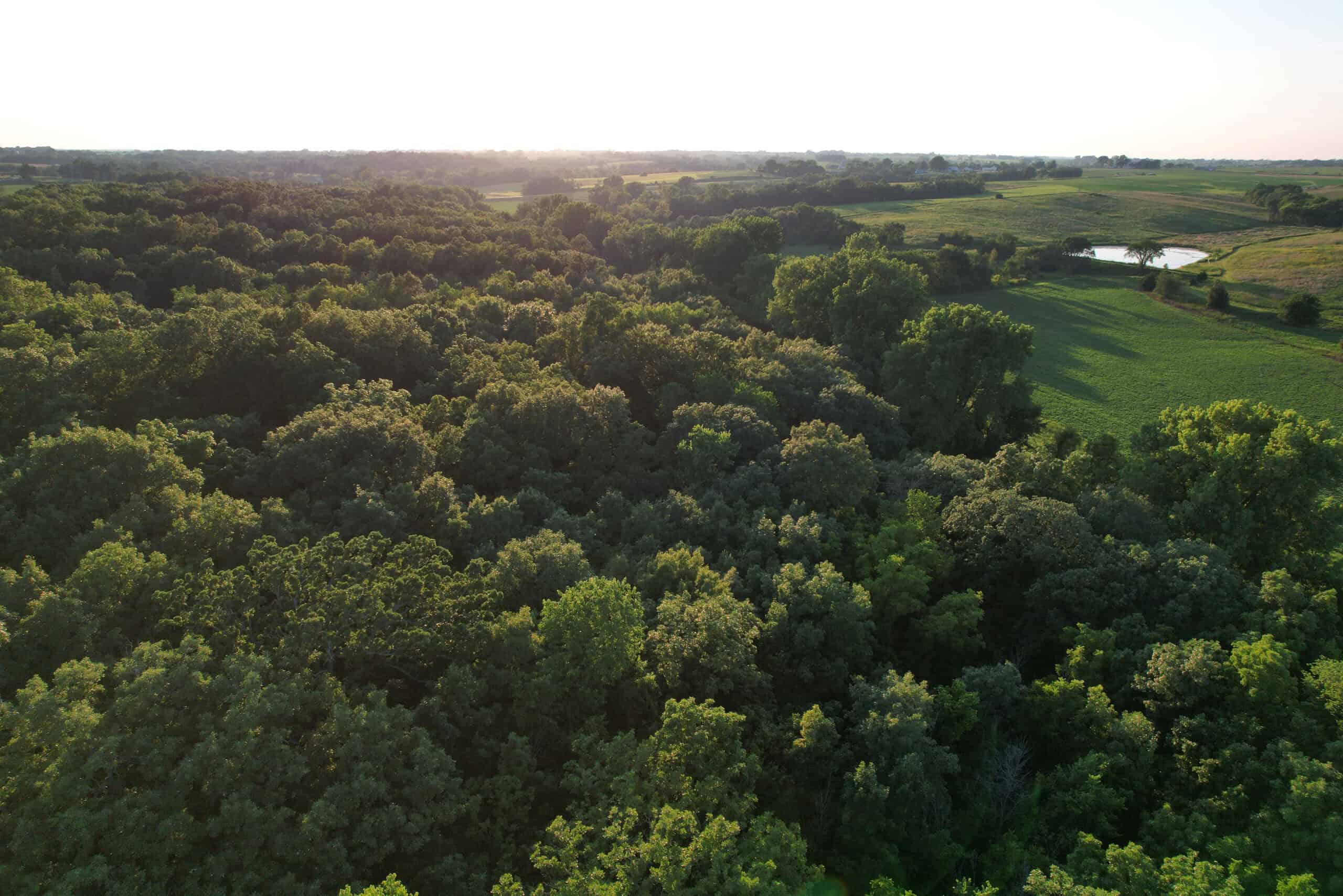 Southern Iowa Combination Hunting Tract