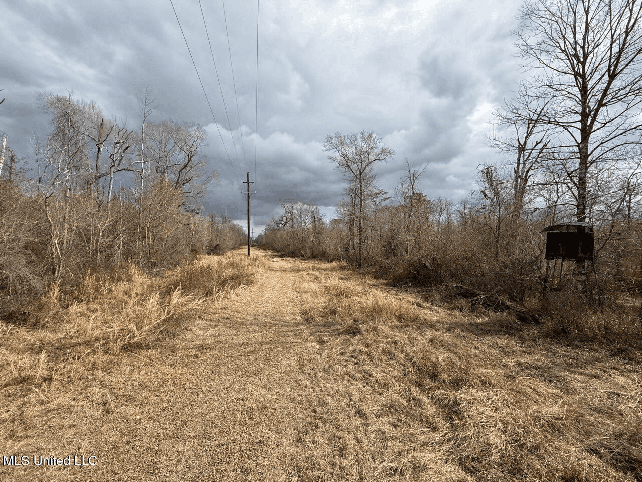 700 Acres in Allen Parish, Louisiana