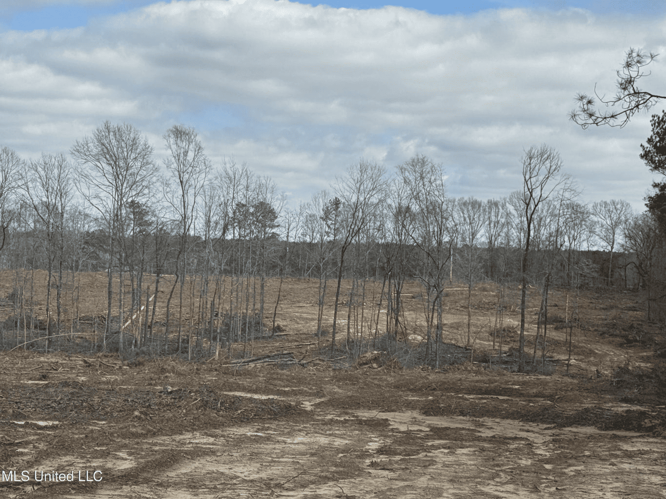220 Acres South MS Hunting Tract with Camp/Homesite