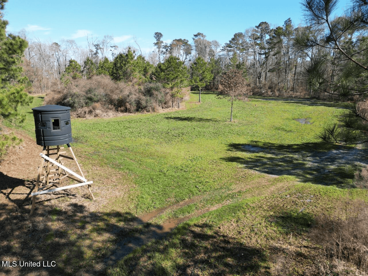 255 Acres East Baton Rouge Parish Near Zachary, LA