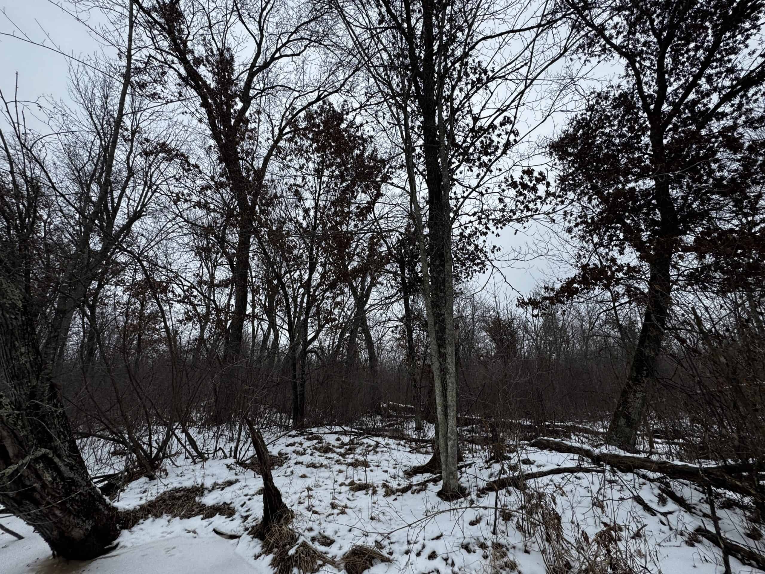 120± Acre Property in the Town of Clearfield, Juneau County