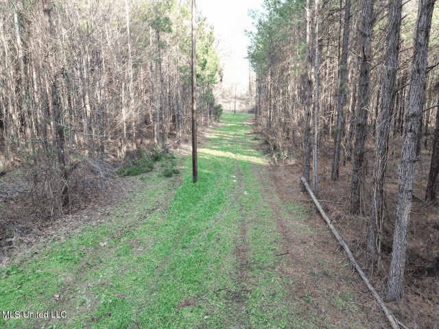 140 Acres with Farmhouse in Lorman, Mississippi