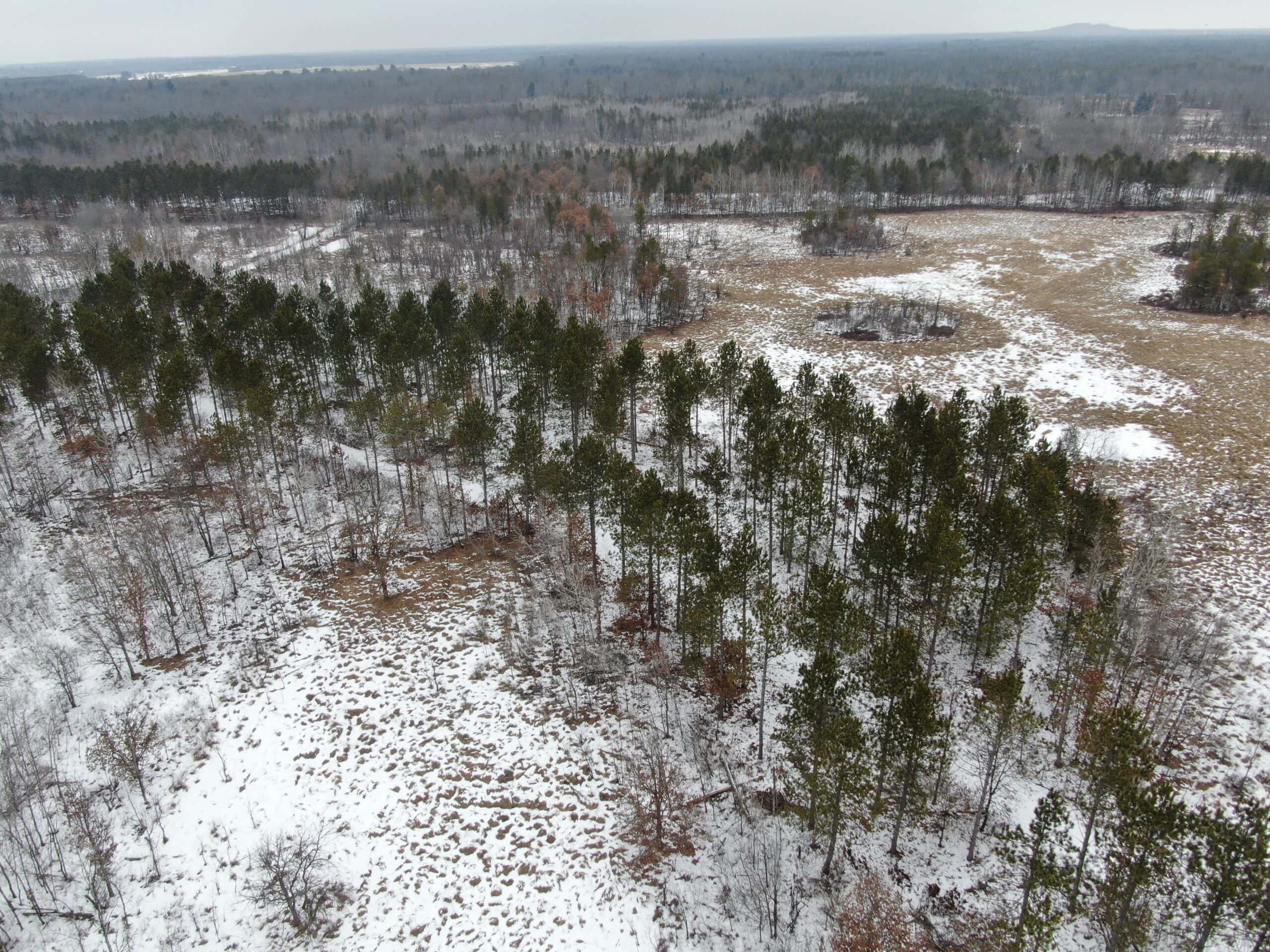120± acre tract in the Town of Clearfield, Juneau County
