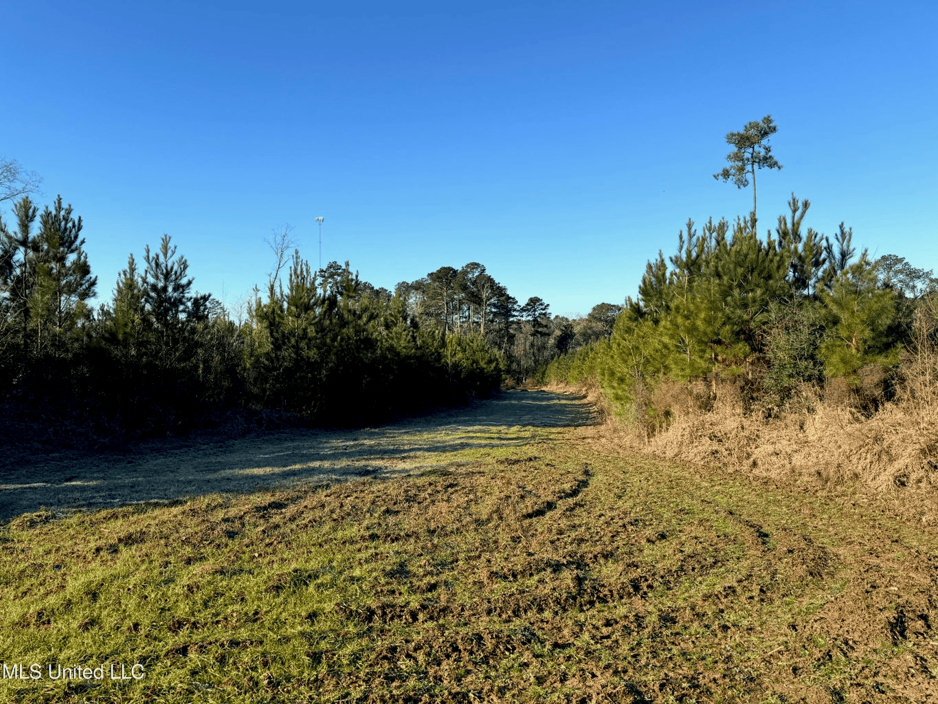 South MS Camp and Land Bordering the National Forest