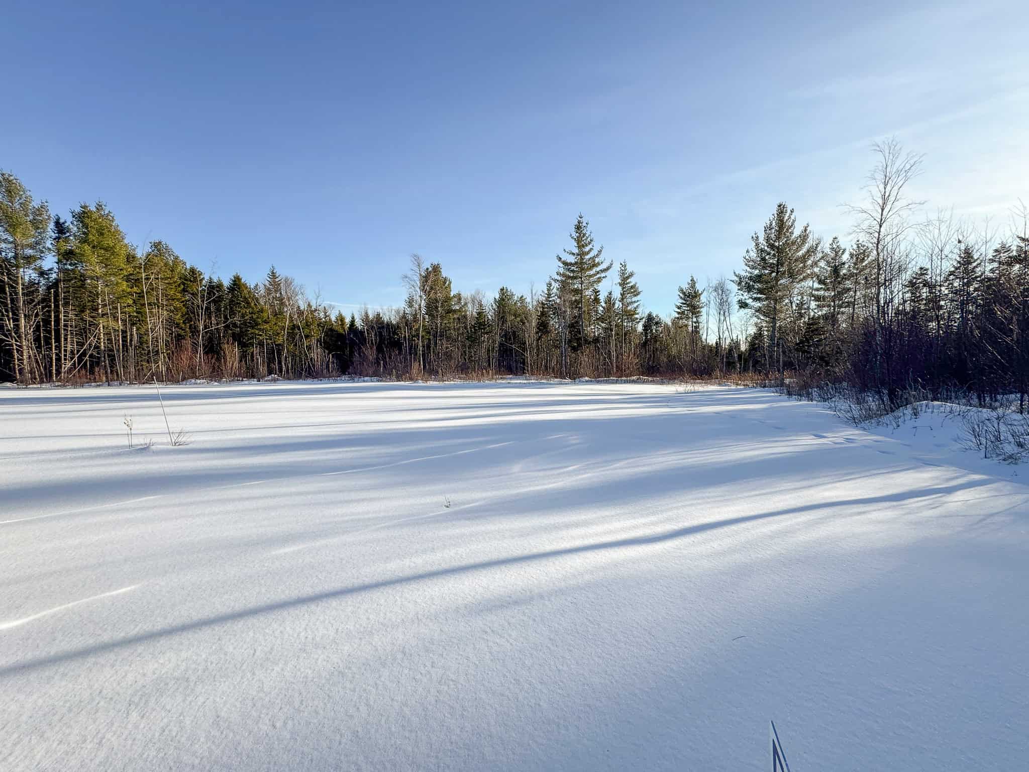 42.9 Acre Off-Grid Parcel – Prentiss, Maine