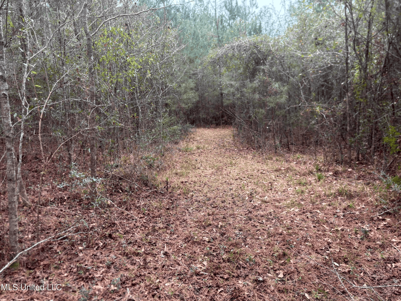 18 Acre Homesite in Magnolia, MS, Pike County