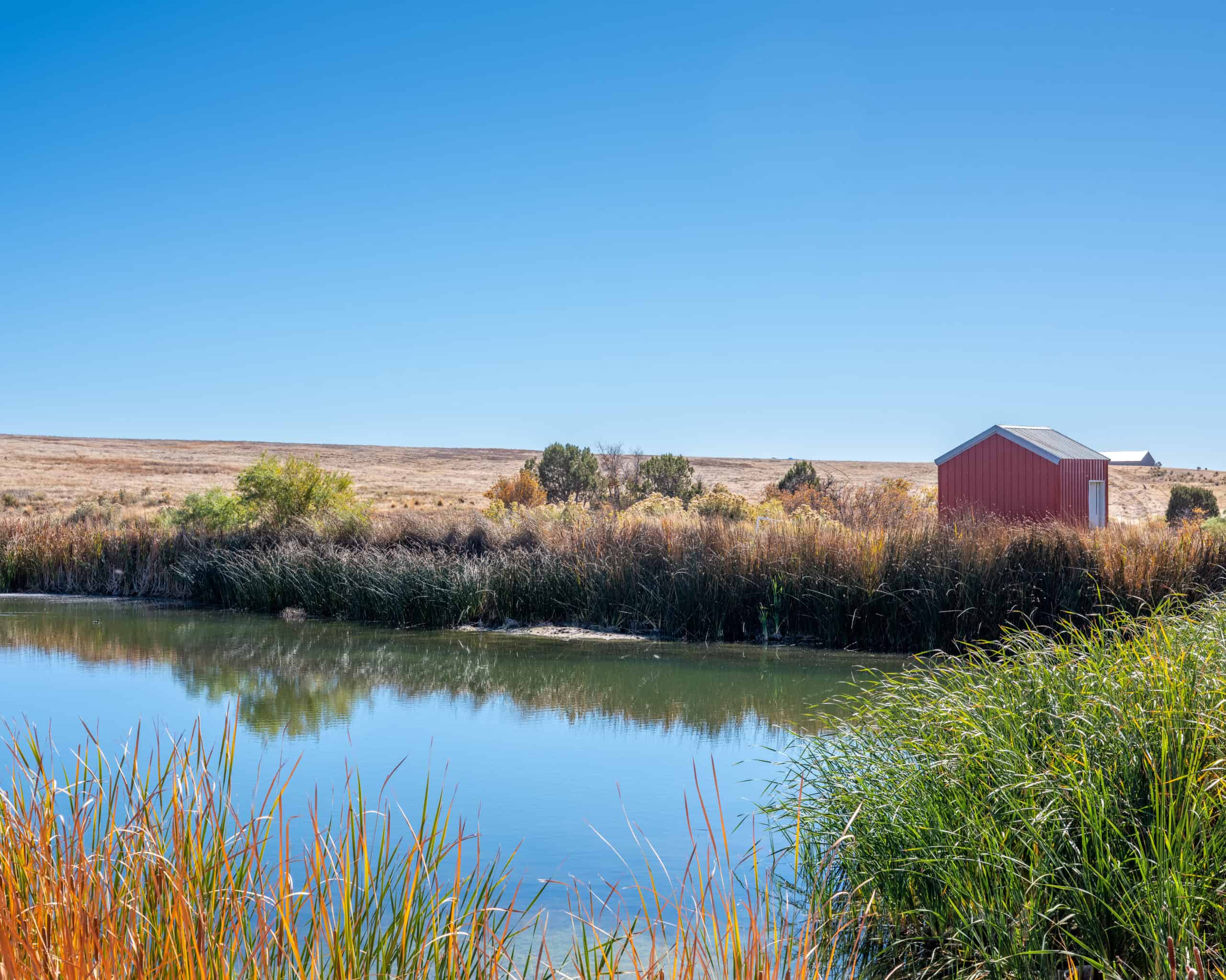 882 Acres Farm near Cortez Colorado For Sale!