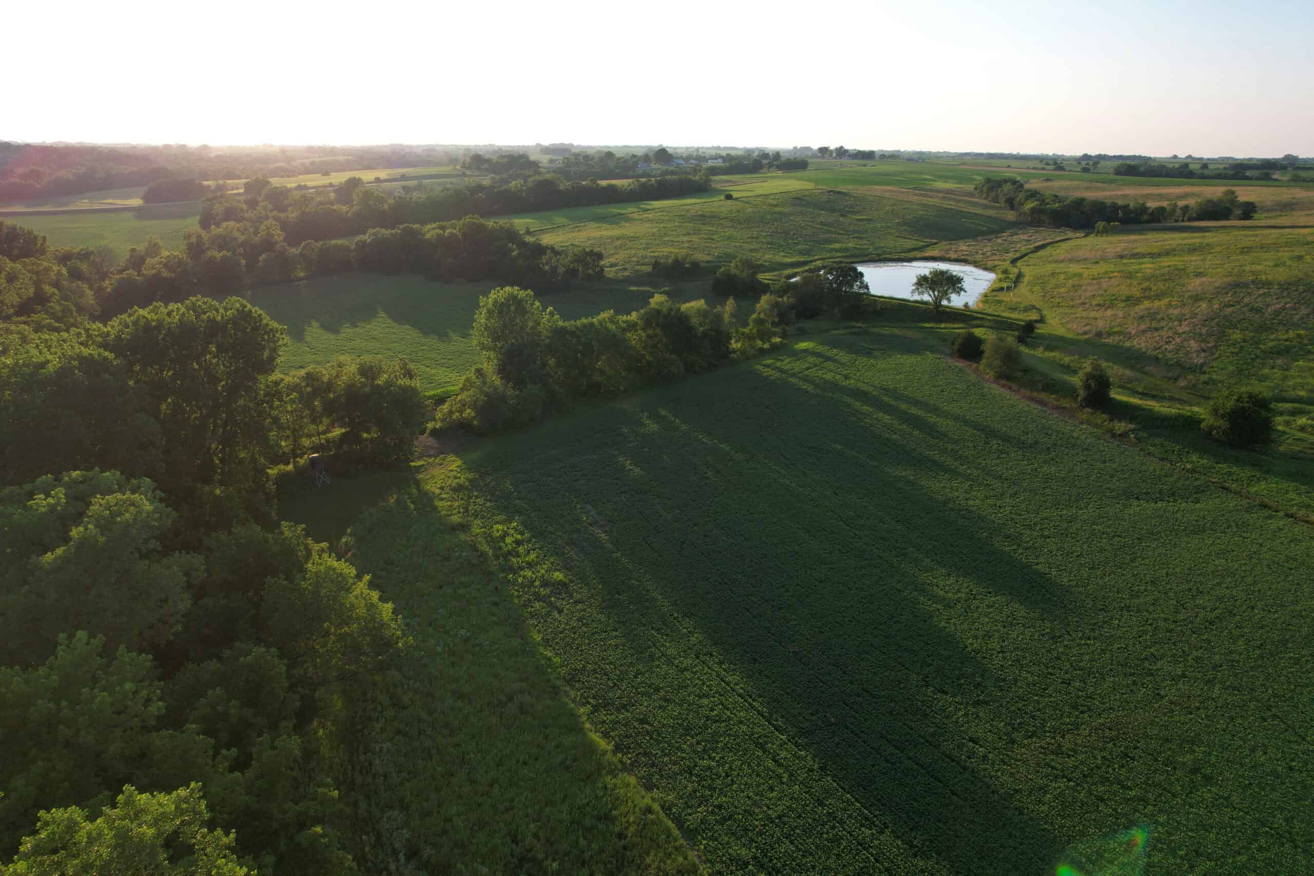 Southern Iowa Combination Hunting Tract