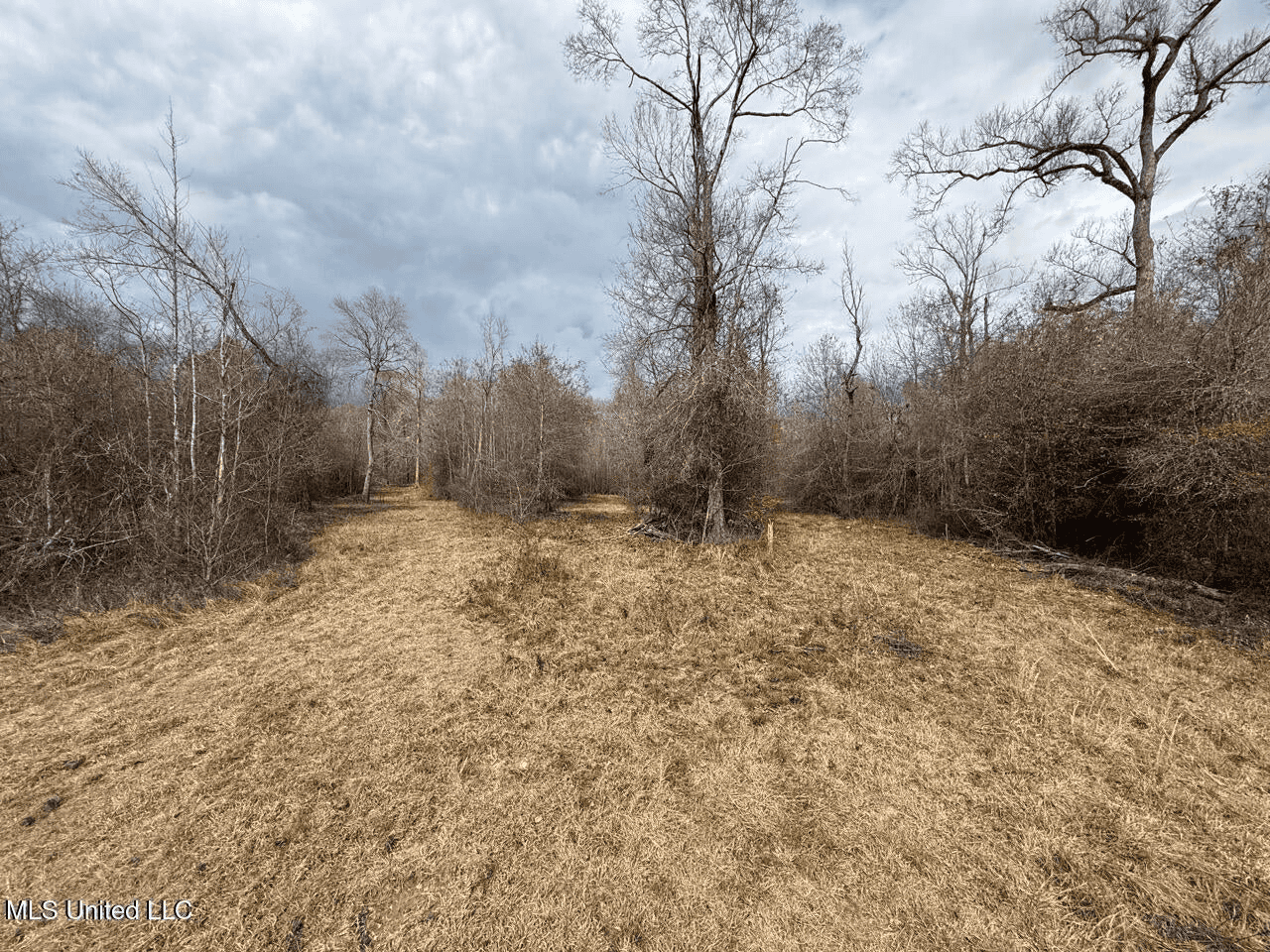 700 Acres in Allen Parish, Louisiana