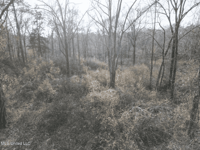 140 Acres with Farmhouse in Lorman, Mississippi