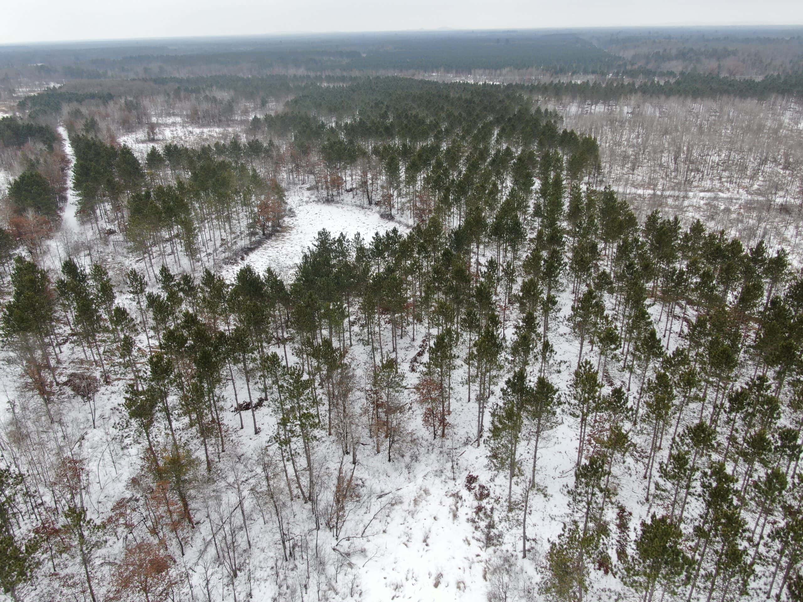 120± acre tract in the Town of Clearfield, Juneau County