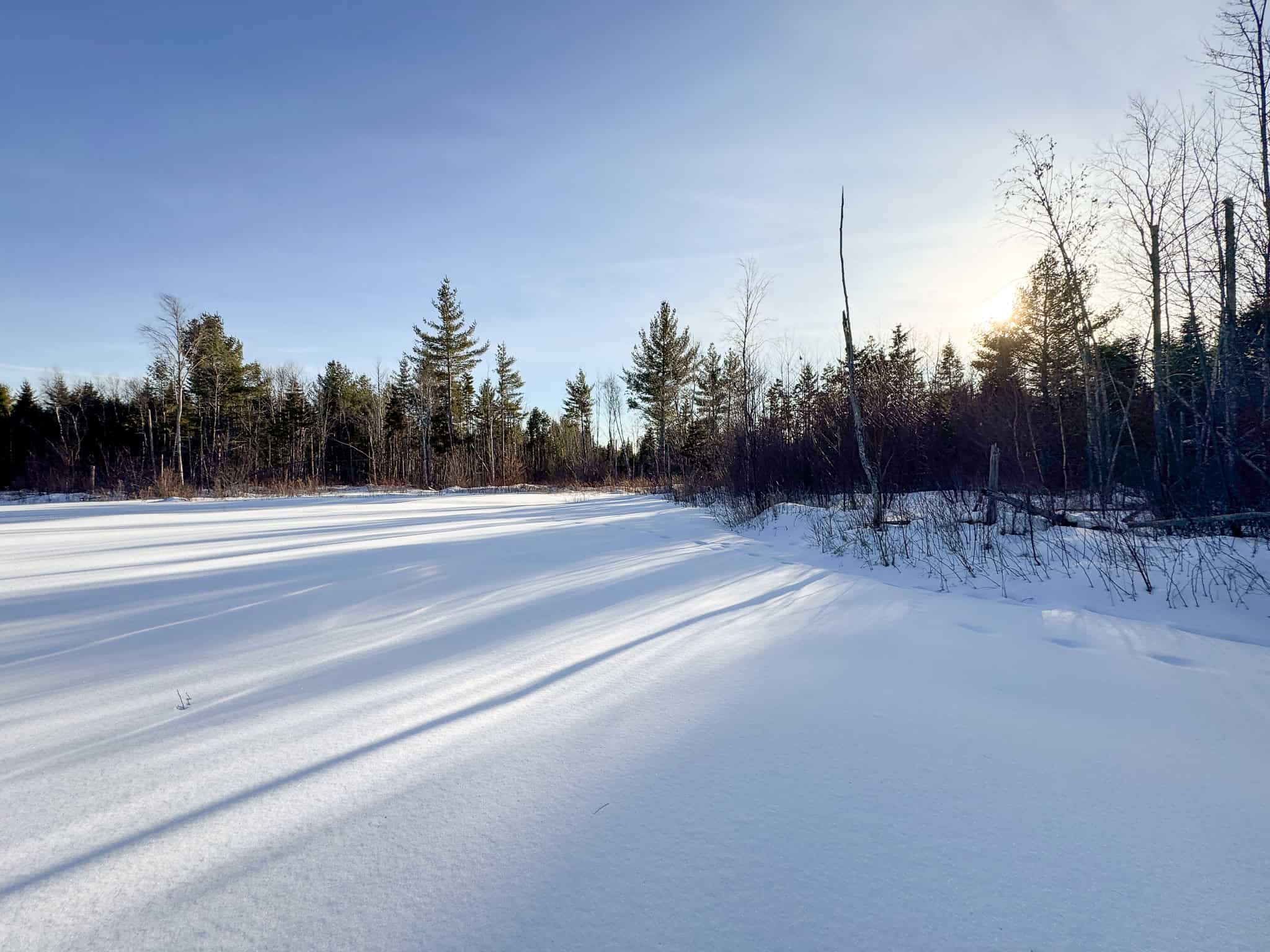 42.9 Acre Off-Grid Parcel – Prentiss, Maine