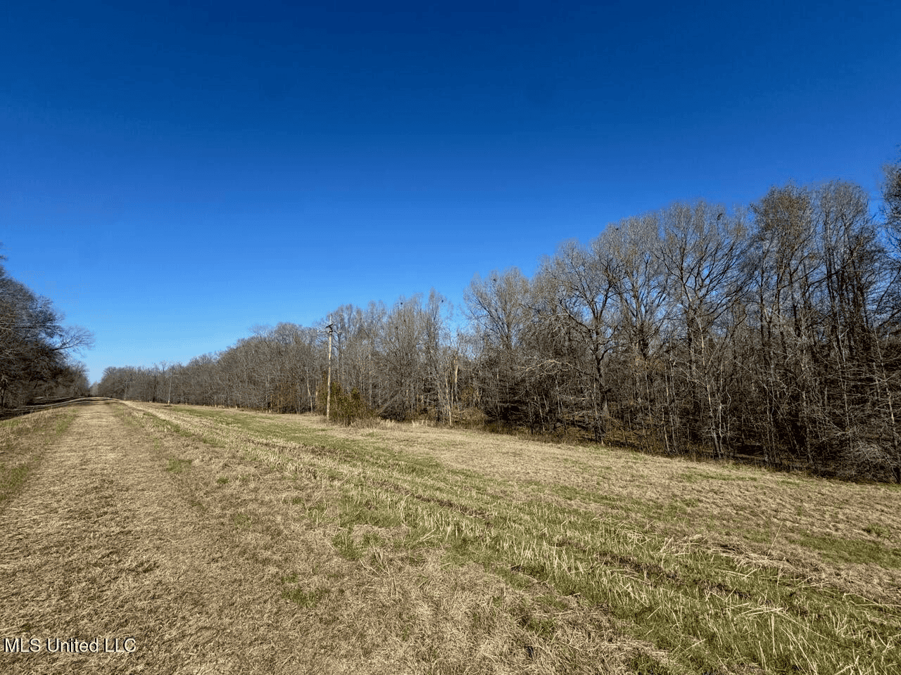 Tensas Riverfront Hunting Land Concordia Parish, LA