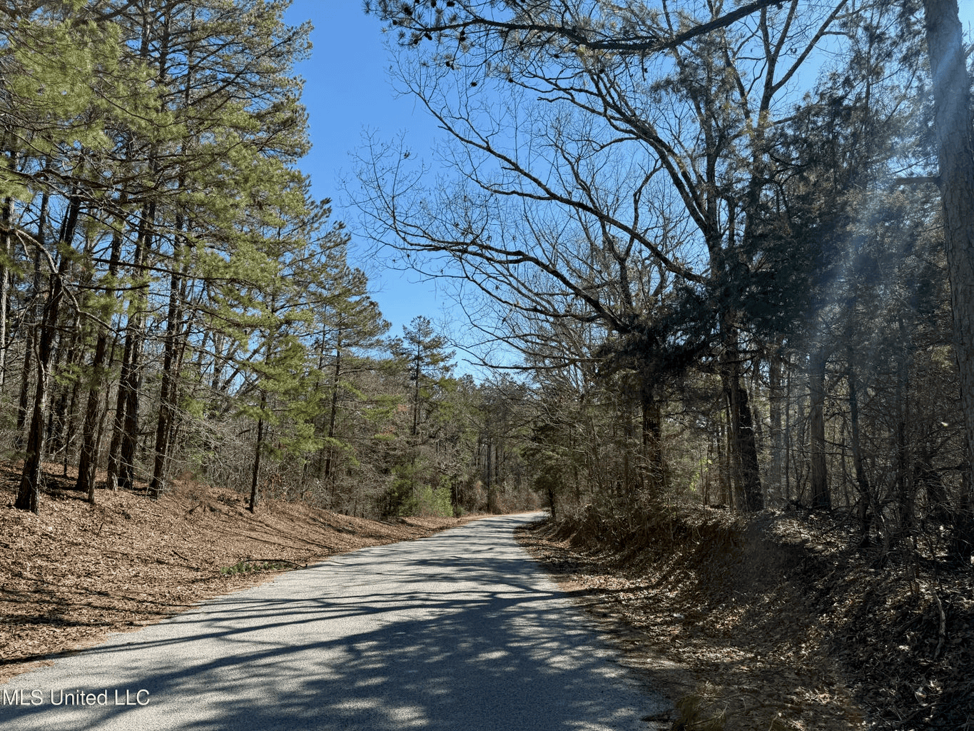 Hunting Land for Sale in Yalobusha County, MS