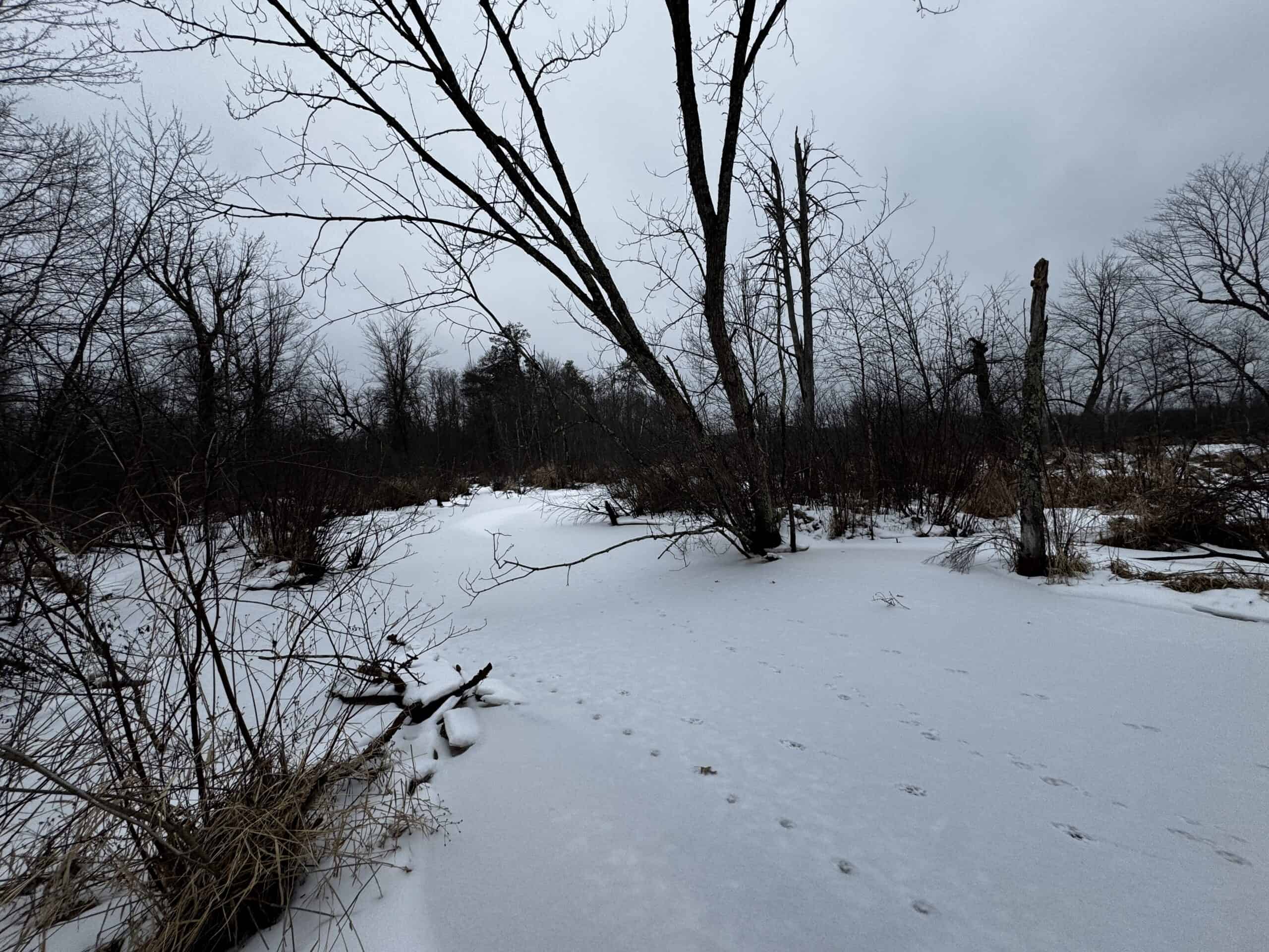 120± Acre Property in the Town of Clearfield, Juneau County
