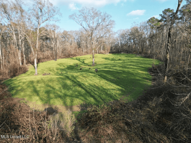140 Acres with Farmhouse in Lorman, Mississippi
