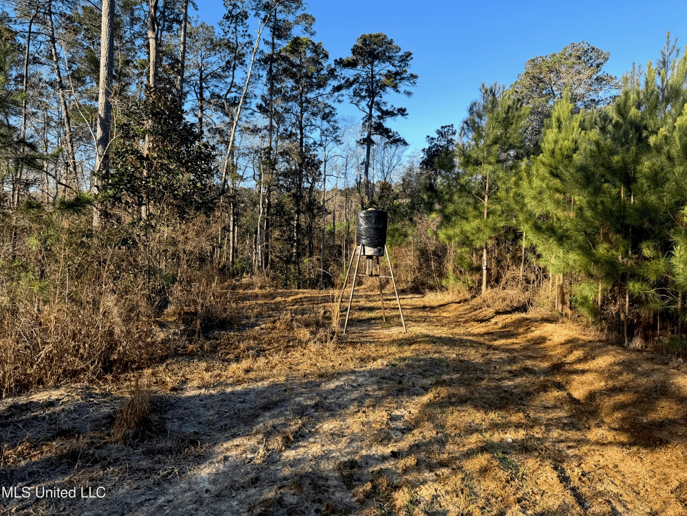 South MS Camp and Land Bordering the National Forest