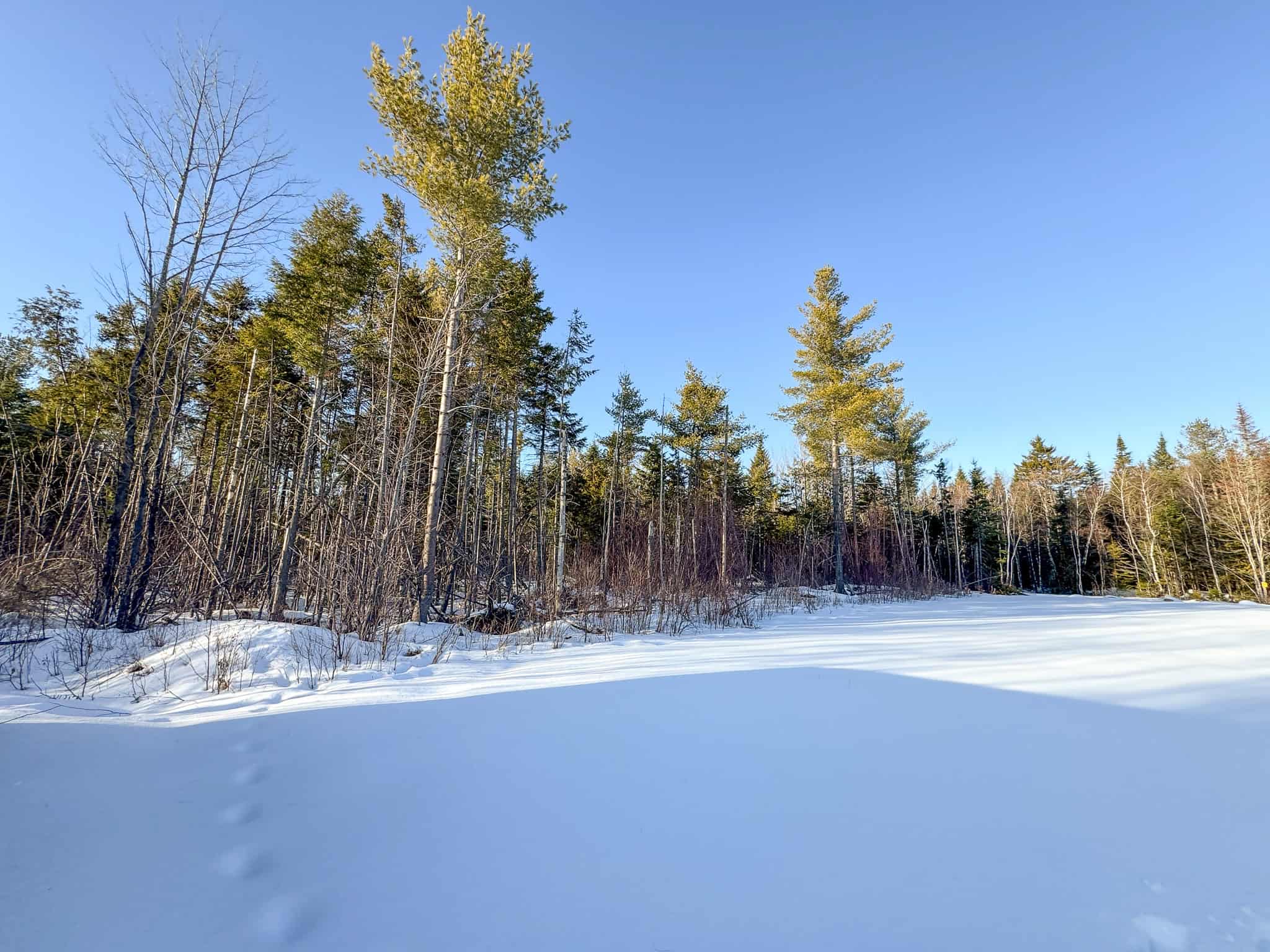 42.9 Acre Off-Grid Parcel – Prentiss, Maine