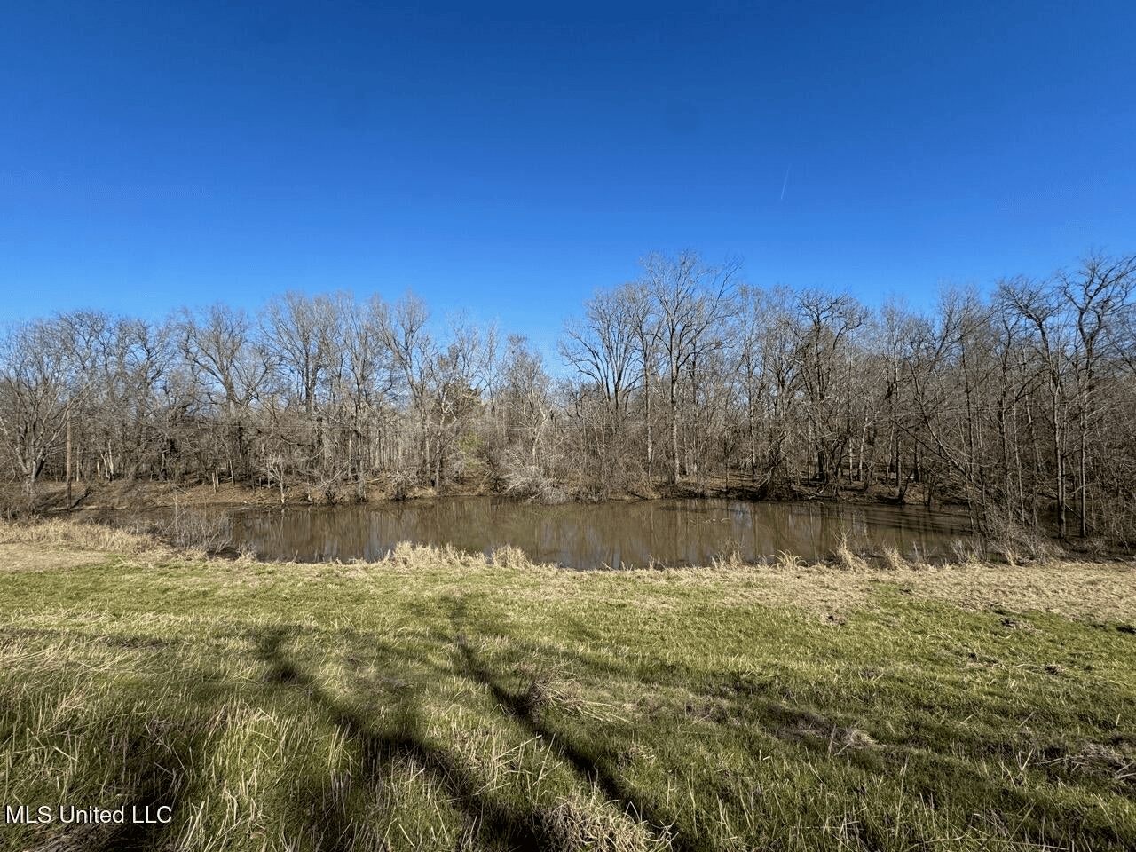 Tensas Riverfront Hunting Land Concordia Parish, LA