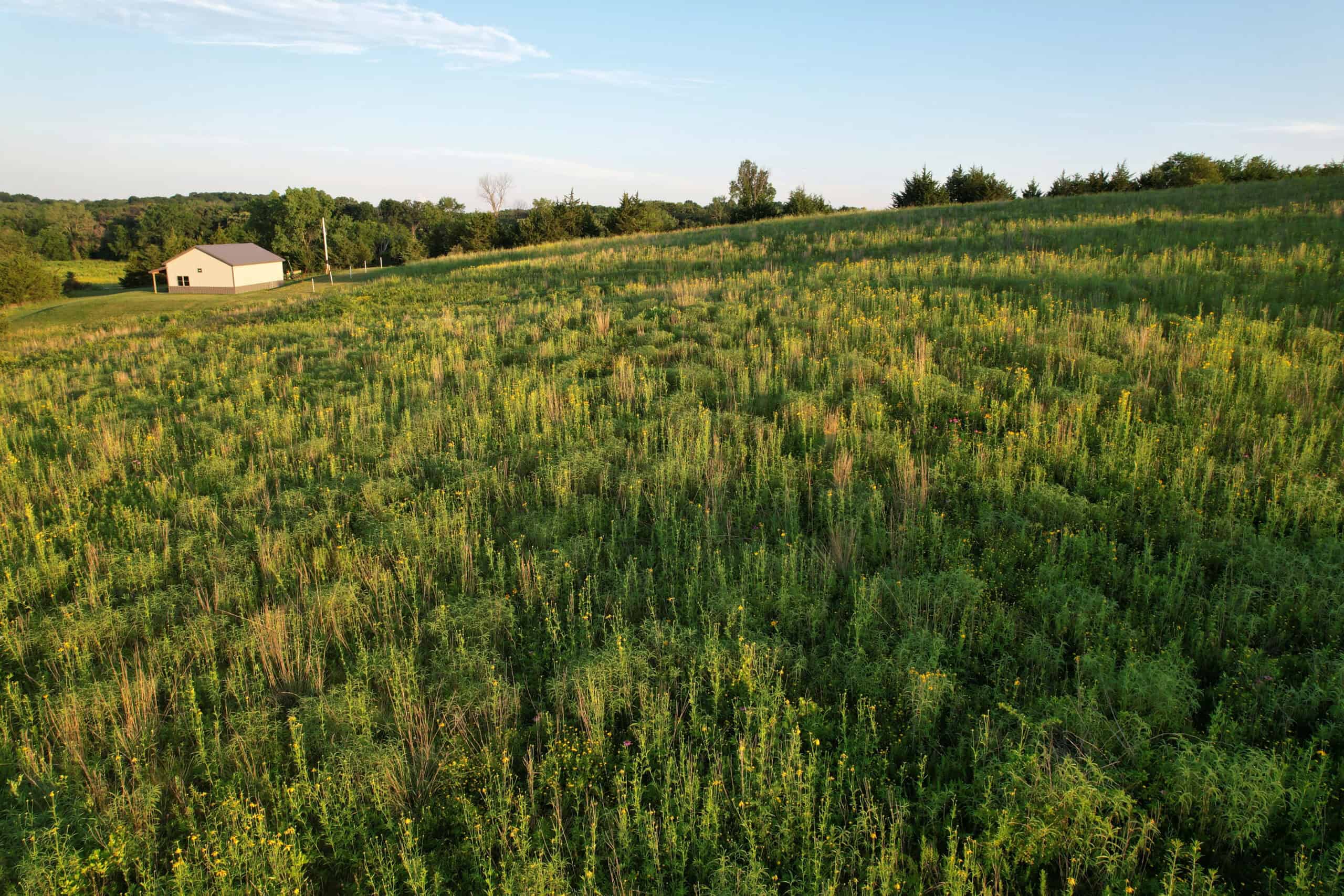 Southern Iowa Combination Hunting Tract
