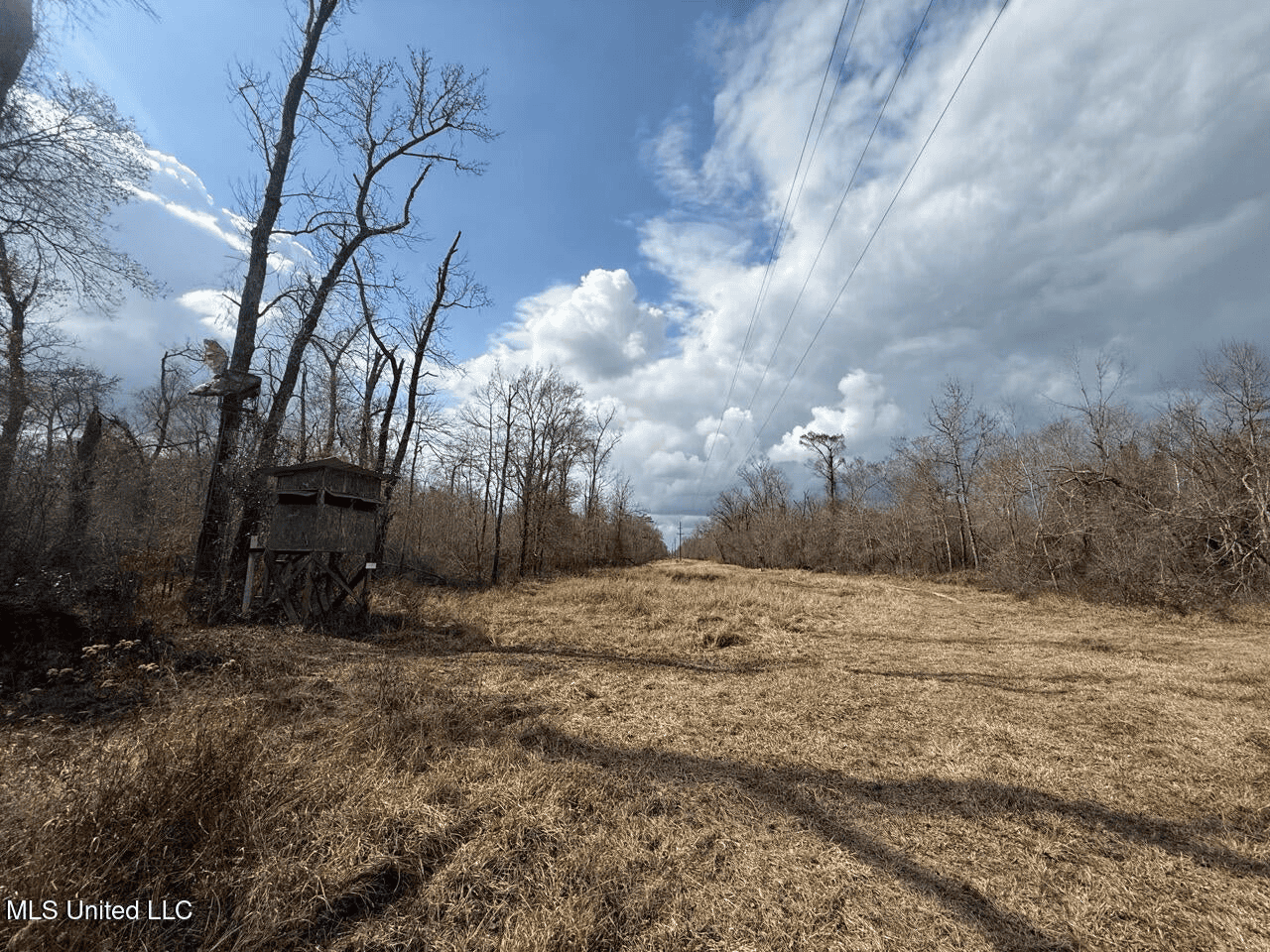 700 Acres in Allen Parish, Louisiana