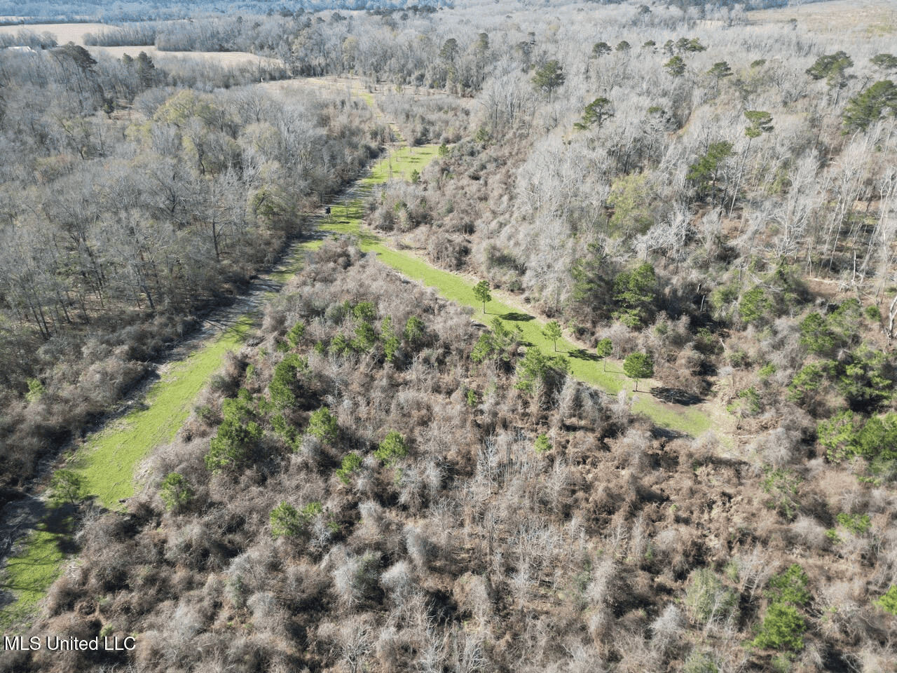 255 Acres East Baton Rouge Parish Near Zachary, LA