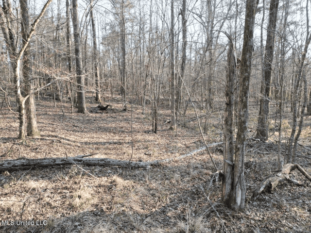 140 Acres with Farmhouse in Lorman, Mississippi