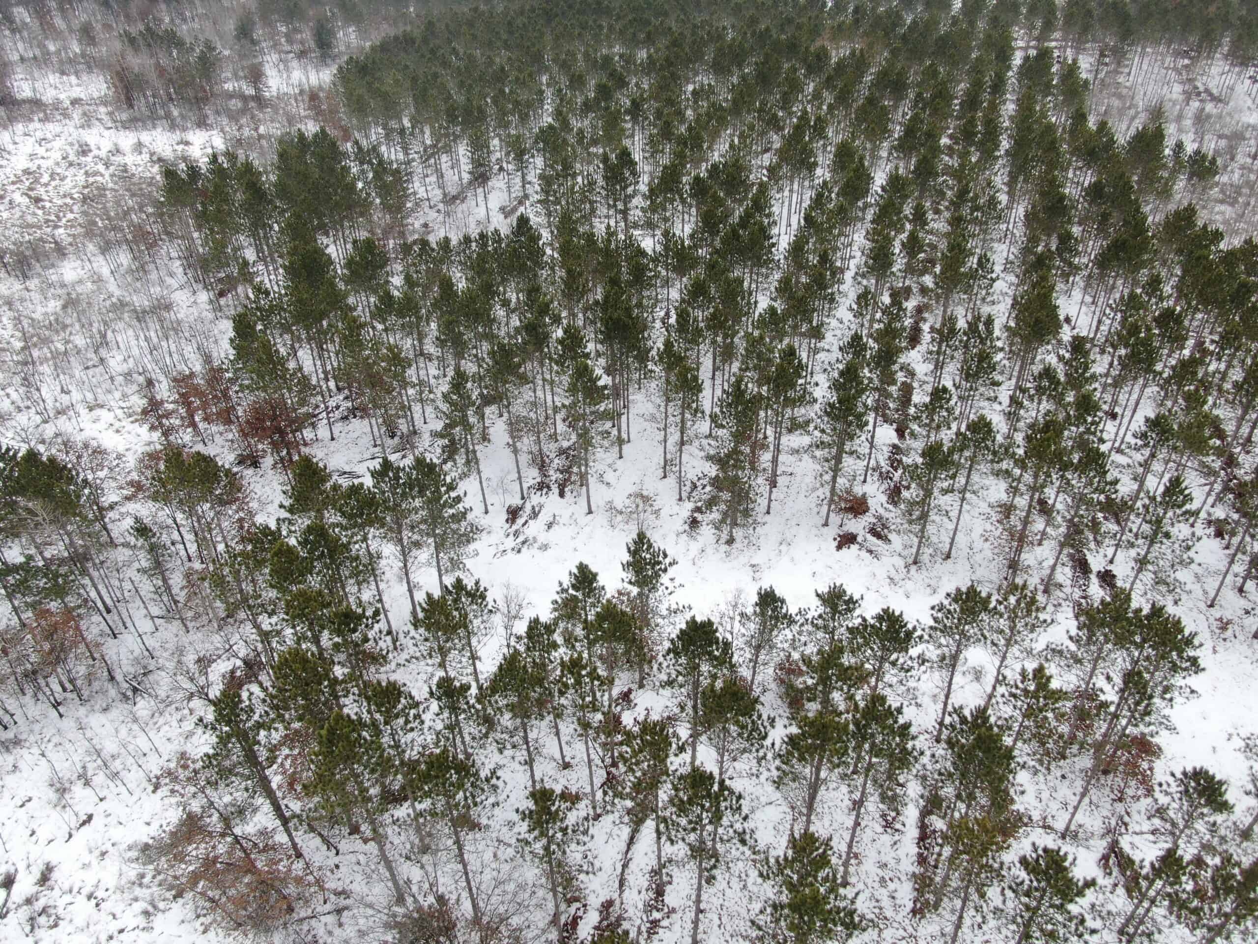 120± acre tract in the Town of Clearfield, Juneau County