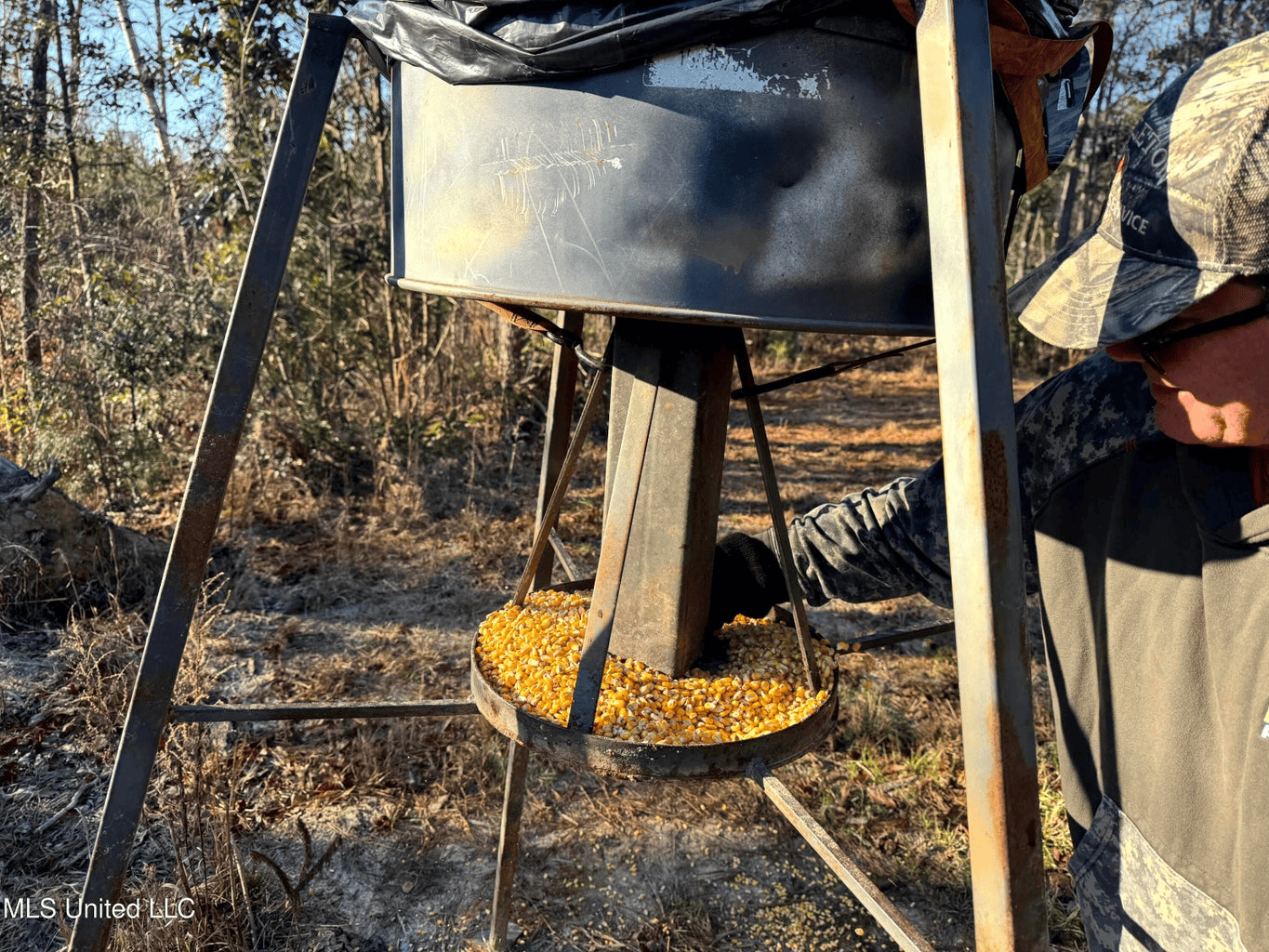 South MS Camp and Land Bordering the National Forest