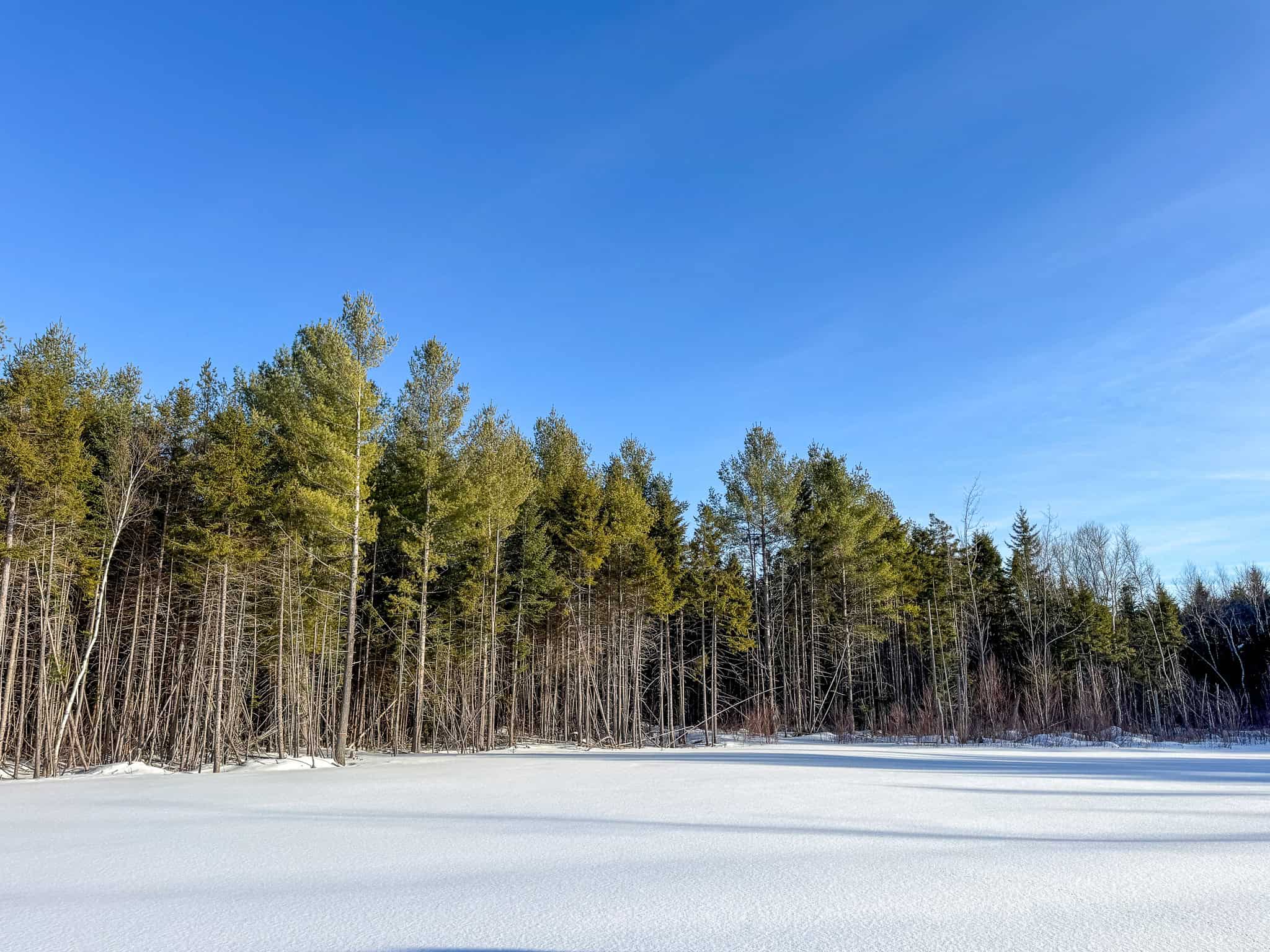 42.9 Acre Off-Grid Parcel – Prentiss, Maine
