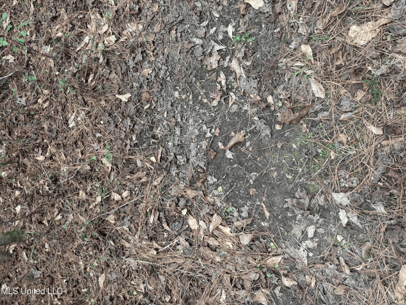 18 Acre Homesite in Magnolia, MS, Pike County