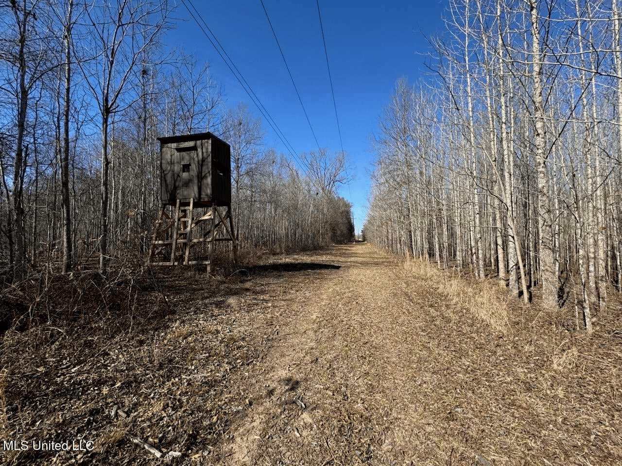 Tensas Riverfront Hunting Land Concordia Parish, LA
