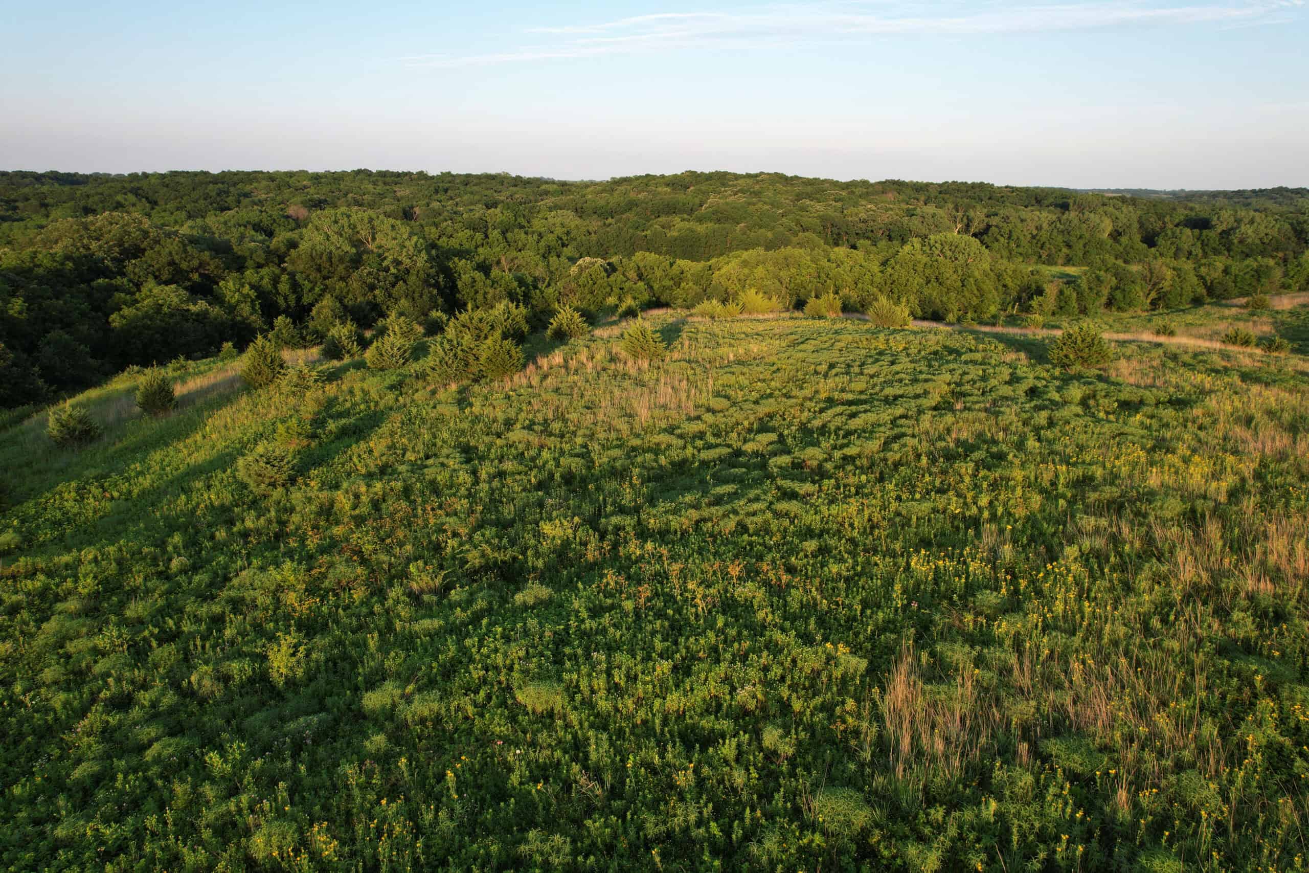 Southern Iowa Combination Hunting Tract