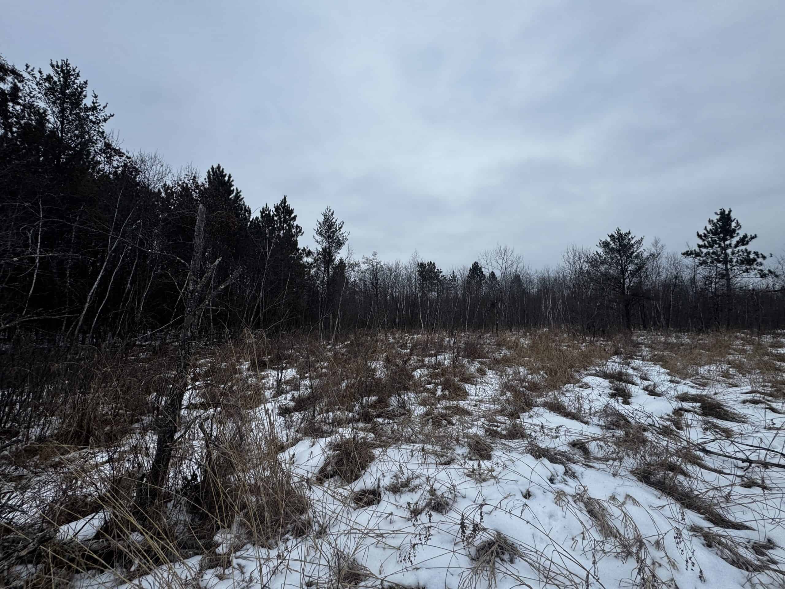 81.64± Acre Parcel in the Town of Clearfield, Juneau County