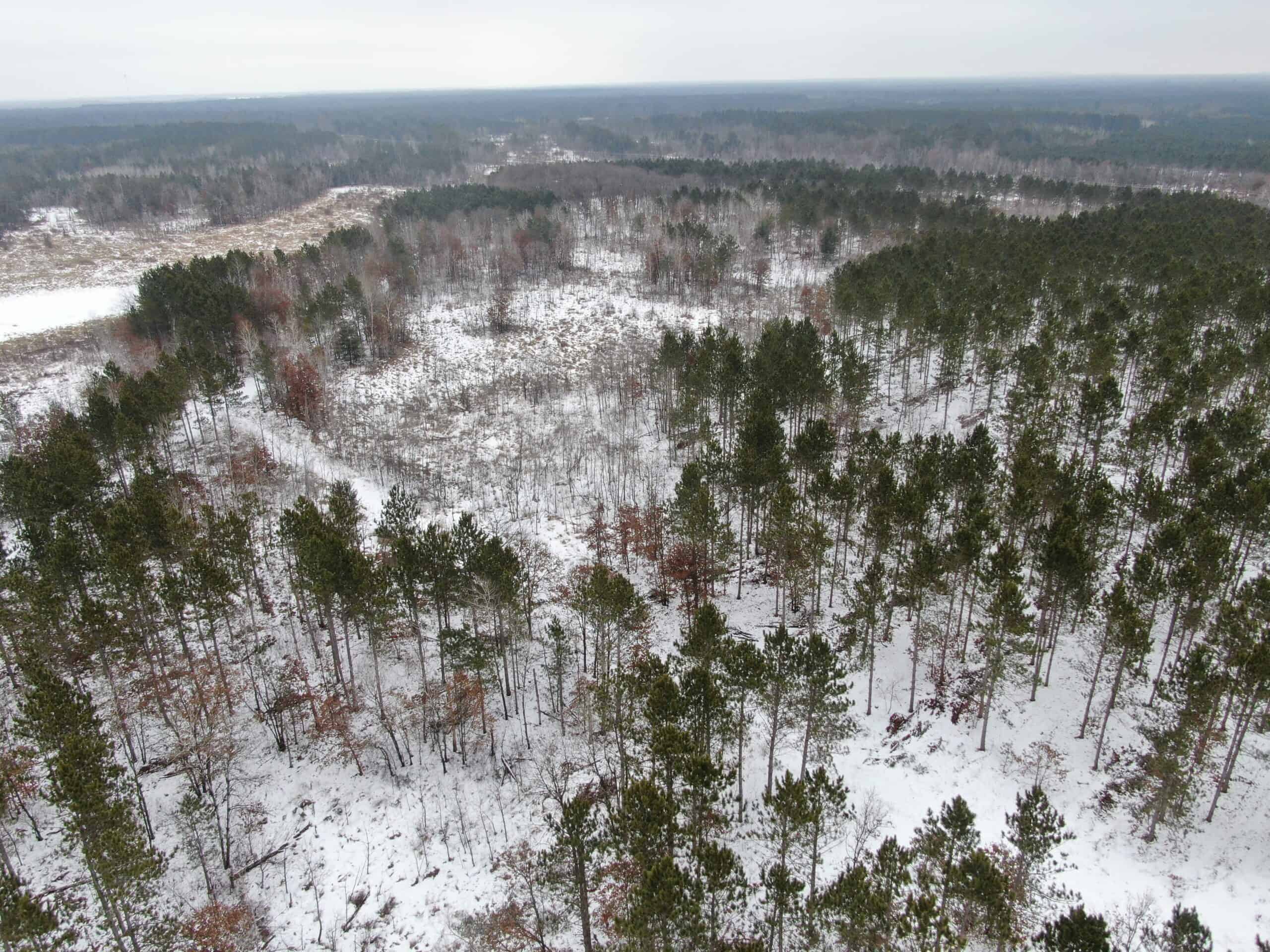 120± acre tract in the Town of Clearfield, Juneau County