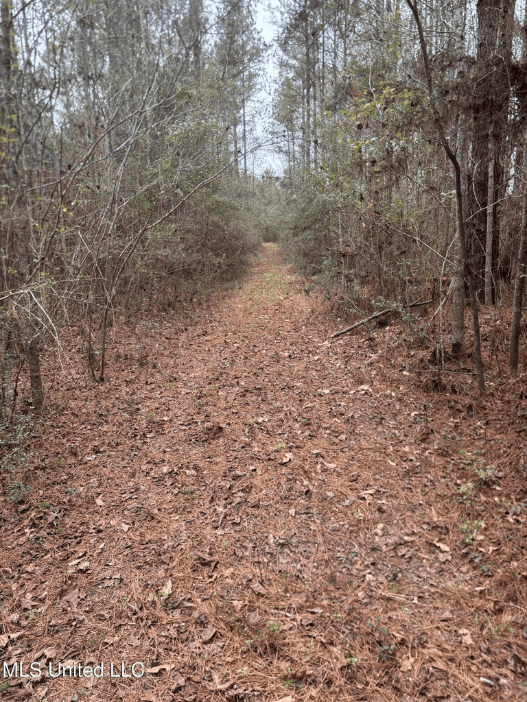 18 Acre Homesite in Magnolia, MS, Pike County
