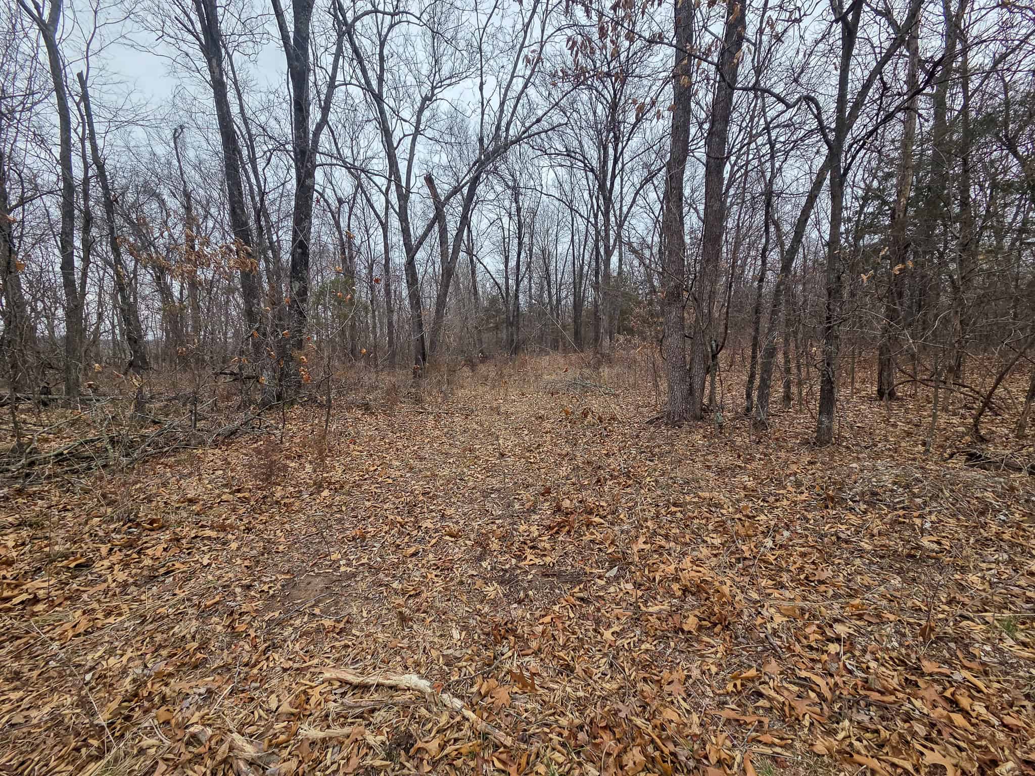 00 N Dade 237 Walnut Grove, MO 65770