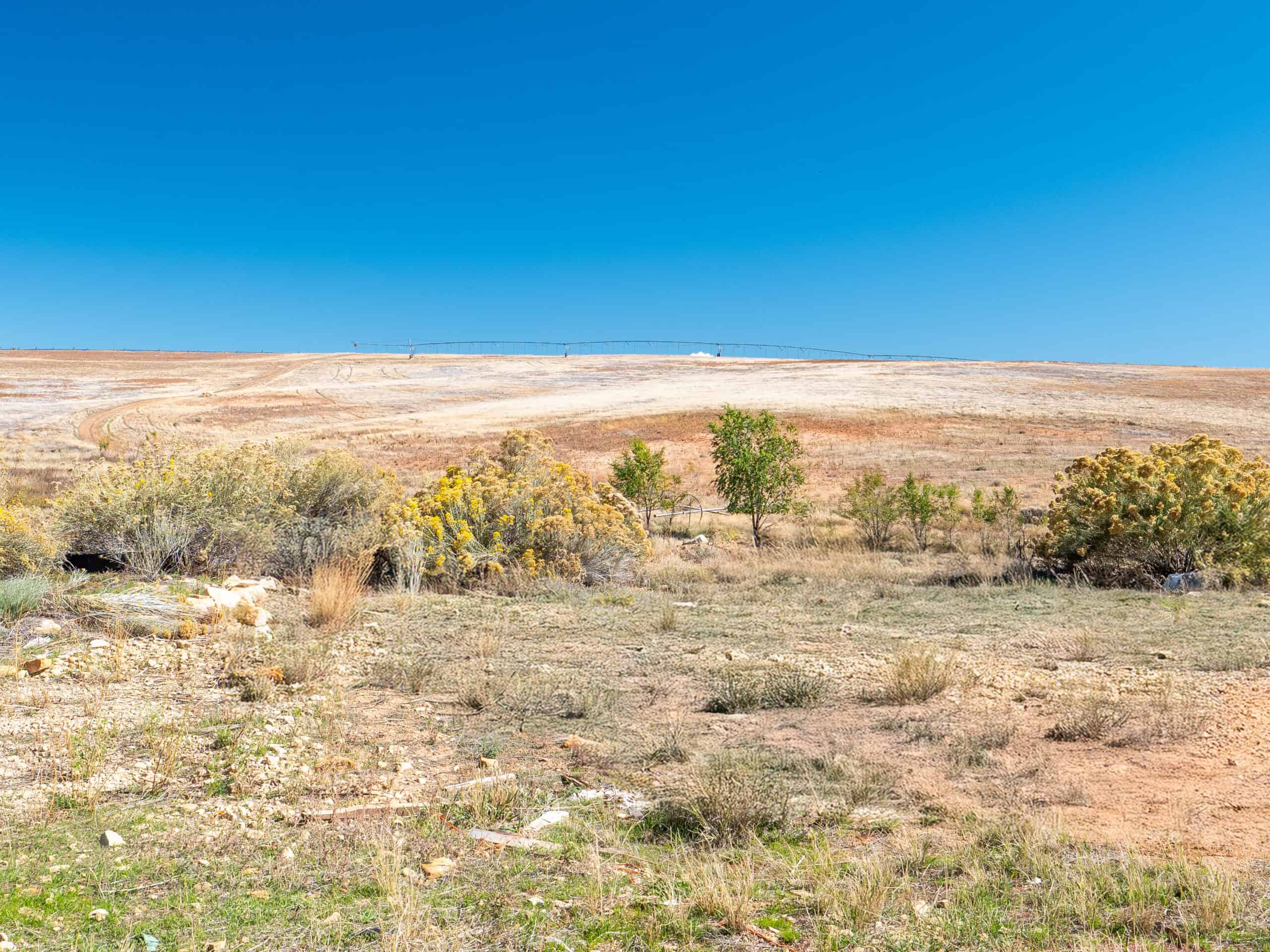 882 Acres Farm near Cortez Colorado For Sale!